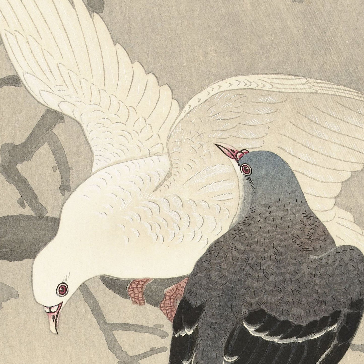 The "2 Pigeons - Vintage Print by Ohara Koson" showcases a traditional Japanese woodblock print featuring two pigeons. One white pigeon is depicted with wings partially spread in flight, while a gray pigeon is perched on a branch. This vintage artwork employs muted, natural tones with delicate shading to create a serene atmosphere.