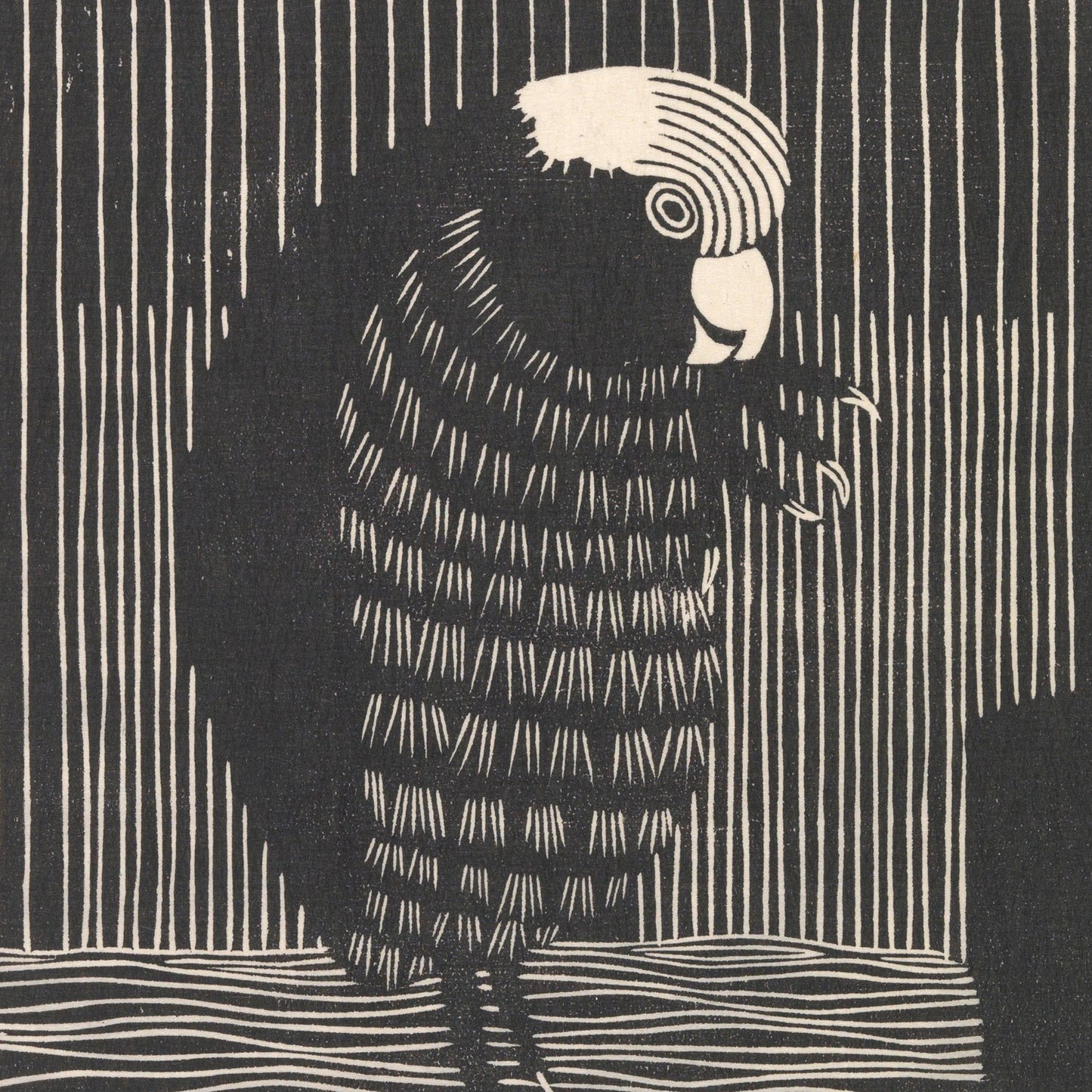 A black and white illustration titled "Rosketoe" by Samuel Jessurun de Mesquita features a parrot perched on a branch, depicted in profile. The artwork showcases intricate feather patterns and a striped background, adding texture to the vintage wall art. The parrot seems to be holding something in its beak.