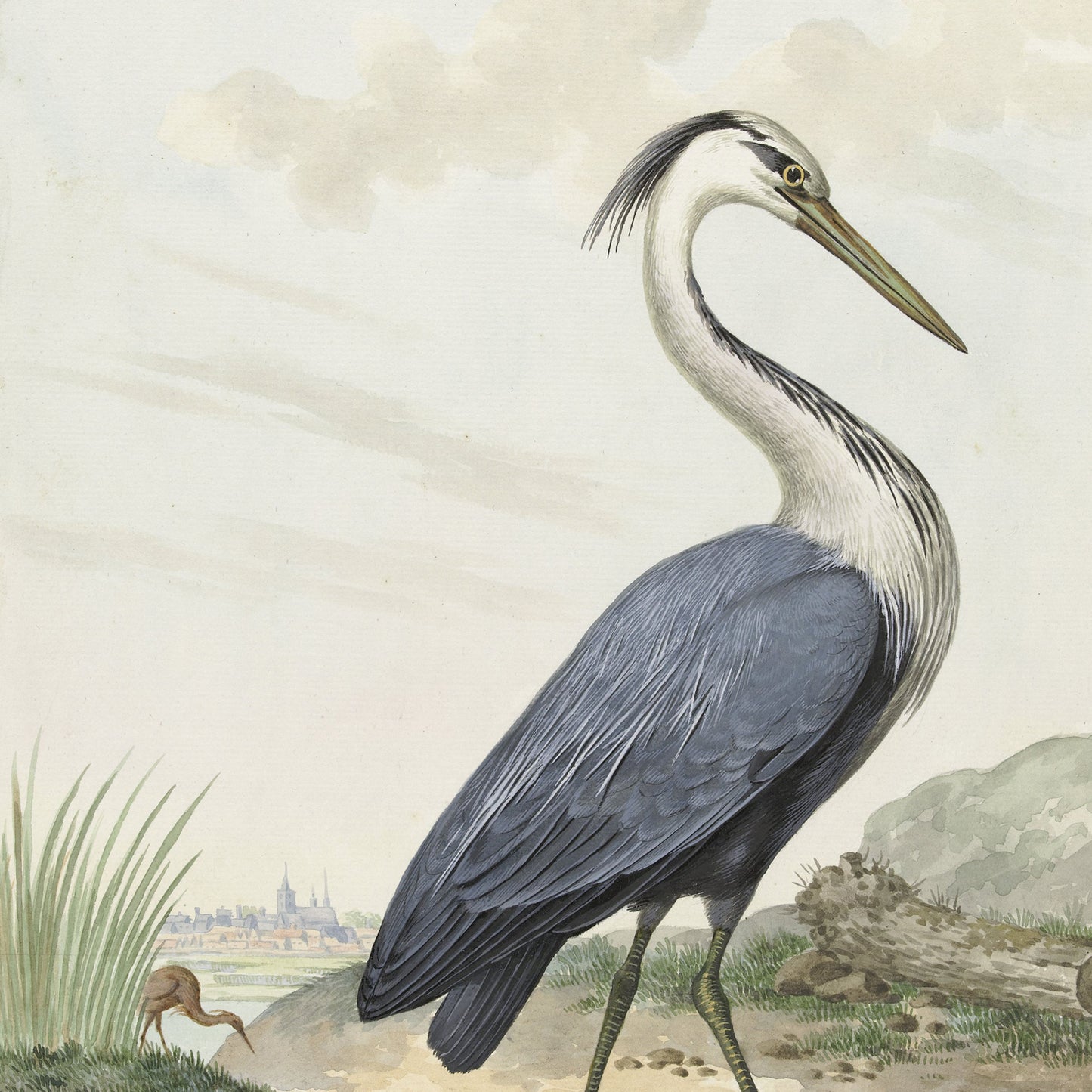 This piece, the "Blue Reiger by Jabes Heenck Vintage Print," features a detailed illustration of a heron standing by the water's edge. The bird has a long neck and beak, with grey and white plumage. In the background, another bird is feeding by the shore, and a distant town is visible under a cloudy sky. This artwork evokes classic Jabes Heenck art, making it perfect for vintage bird wall art collections.