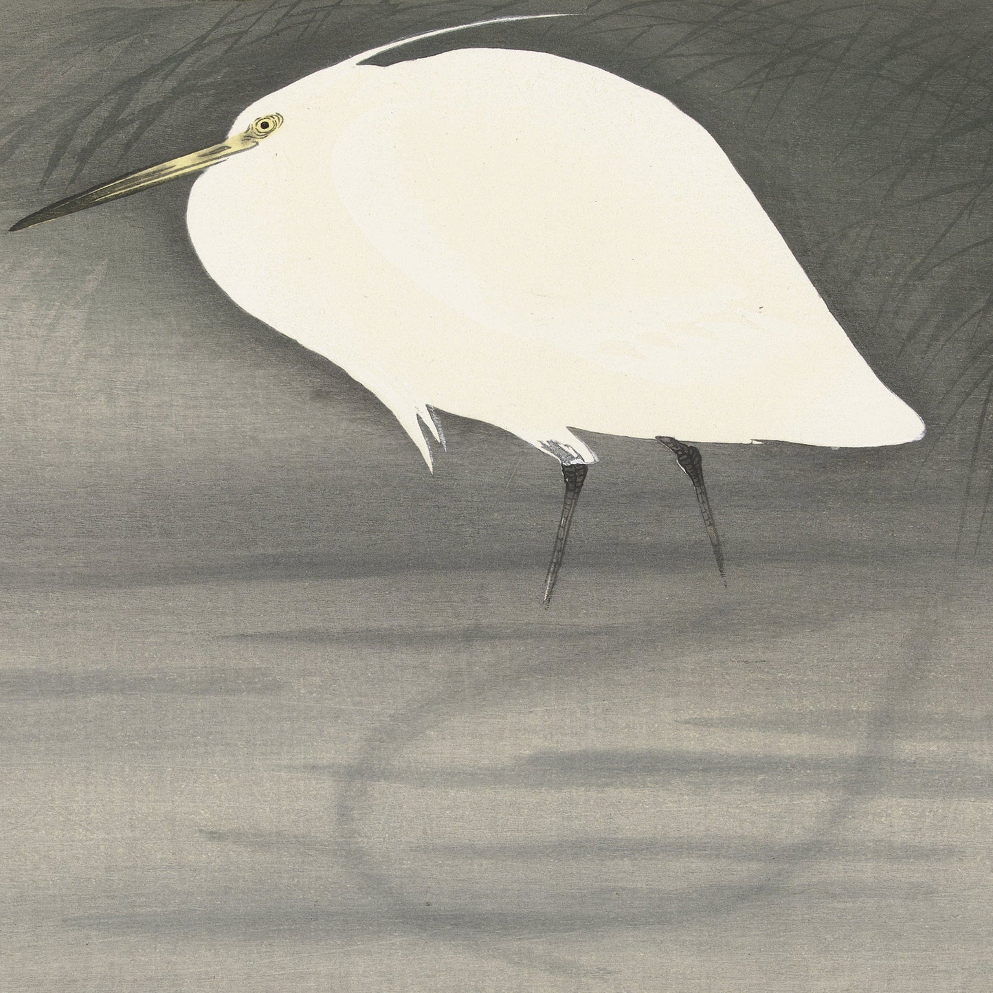 The vintage Japanese print "Egret In Swamp Waiting for Fish by Ohara Koson" captures a delicate painting of a white heron standing in shallow water. The background features a gradient of soft, muted grays, creating a serene and minimalistic scene. Finely detailed slender legs and beak contrast with the heron's smooth, pure white feathers to make this piece reminiscent of classic Ohara Koson artwork.