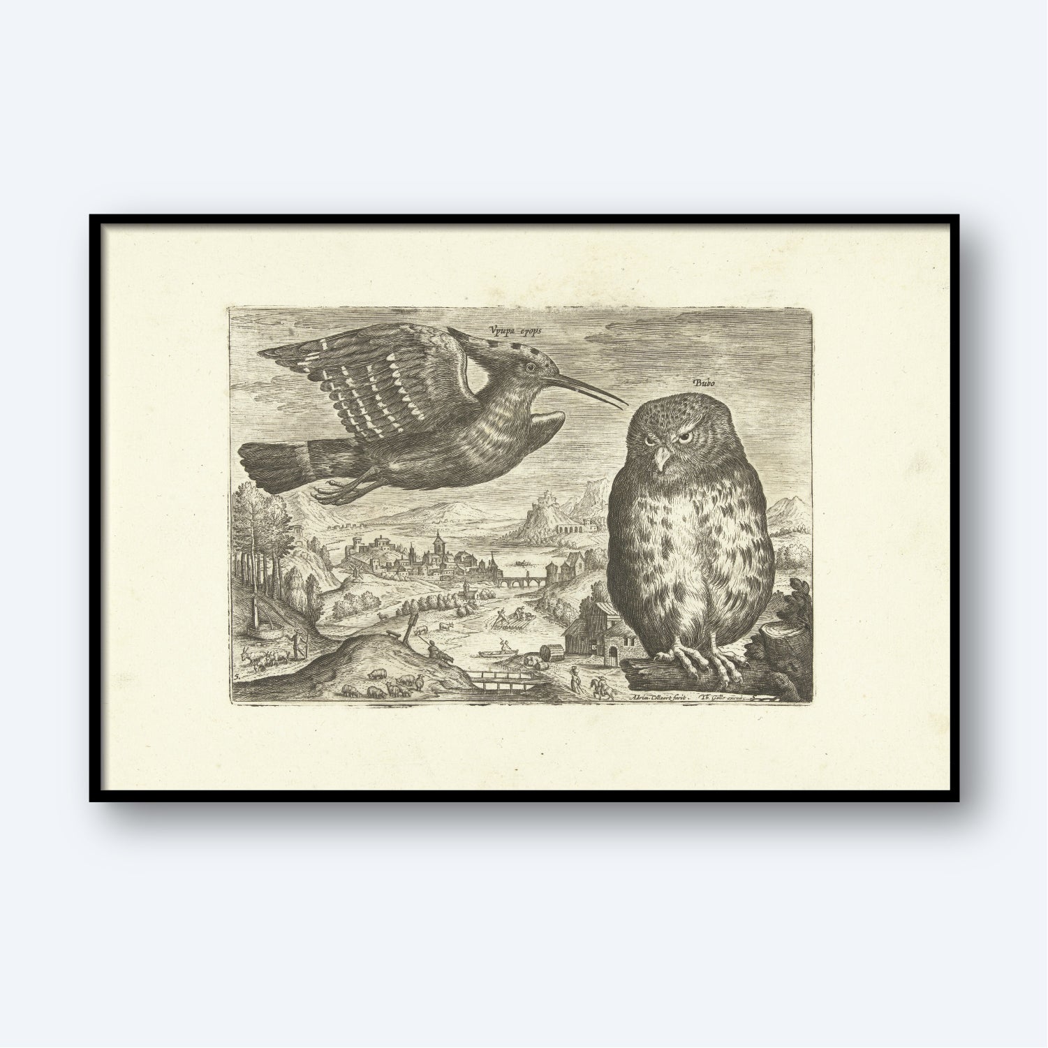 The framed artwork "Hoopoe and Owl by Adriaen Collaert" features a detailed naturalistic engraving of a bird in flight and an owl perched, set against a countryside landscape with buildings, trees, and hills, and is displayed with a white border.