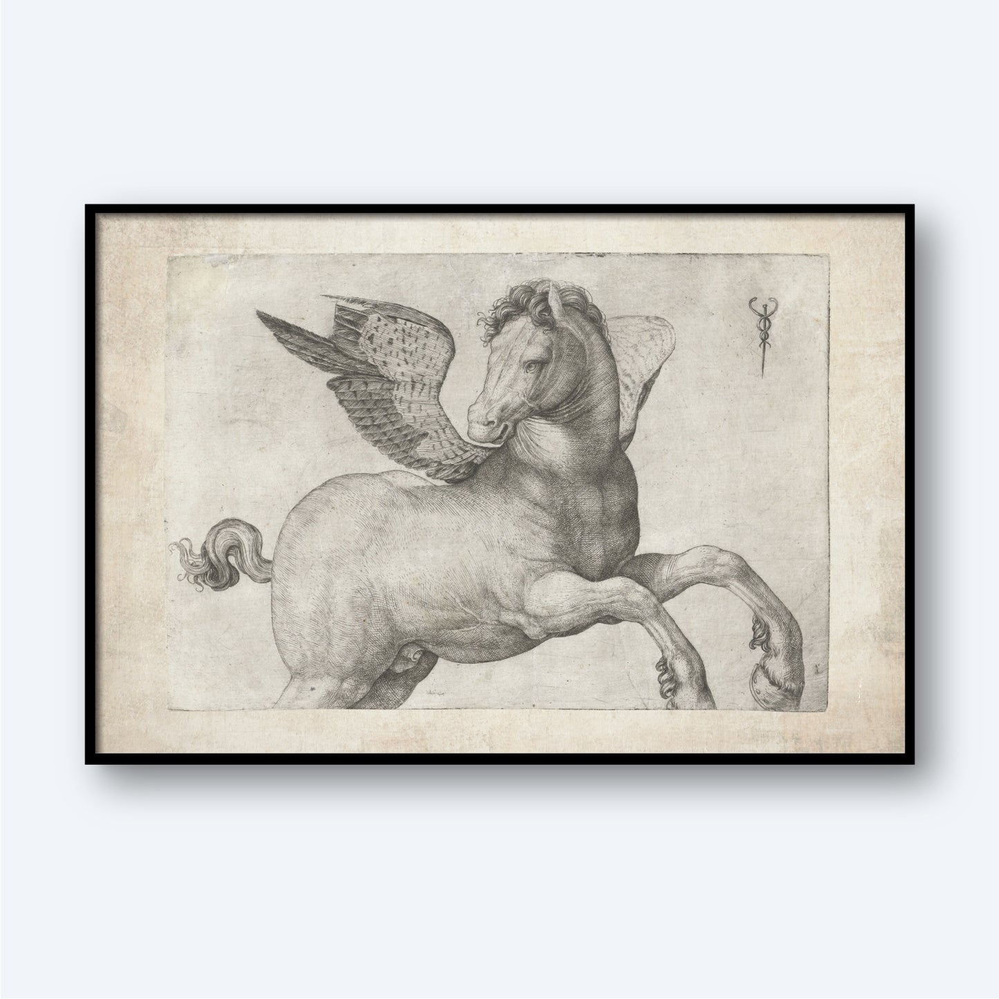 Pegasus by Jacopo de Barbari