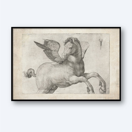 Pegasus by Jacopo de Barbari