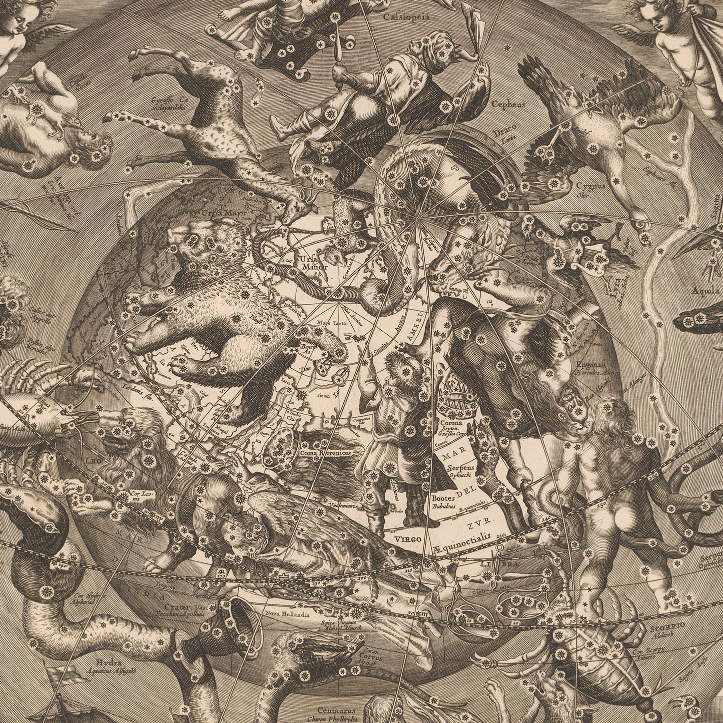 The *Spherical Scenograph of the Celestial and Terrestrial Northern Hemisphere* by Andreas Cellarius illustrates constellations in intricate detail. Mythical creatures and figures, including animals and human shapes, are depicted among the stars, overlaid on a spherical globe centered with lines marking various celestial coordinates. Perfect as Astrology Wall Art for any zodiac enthusiast.