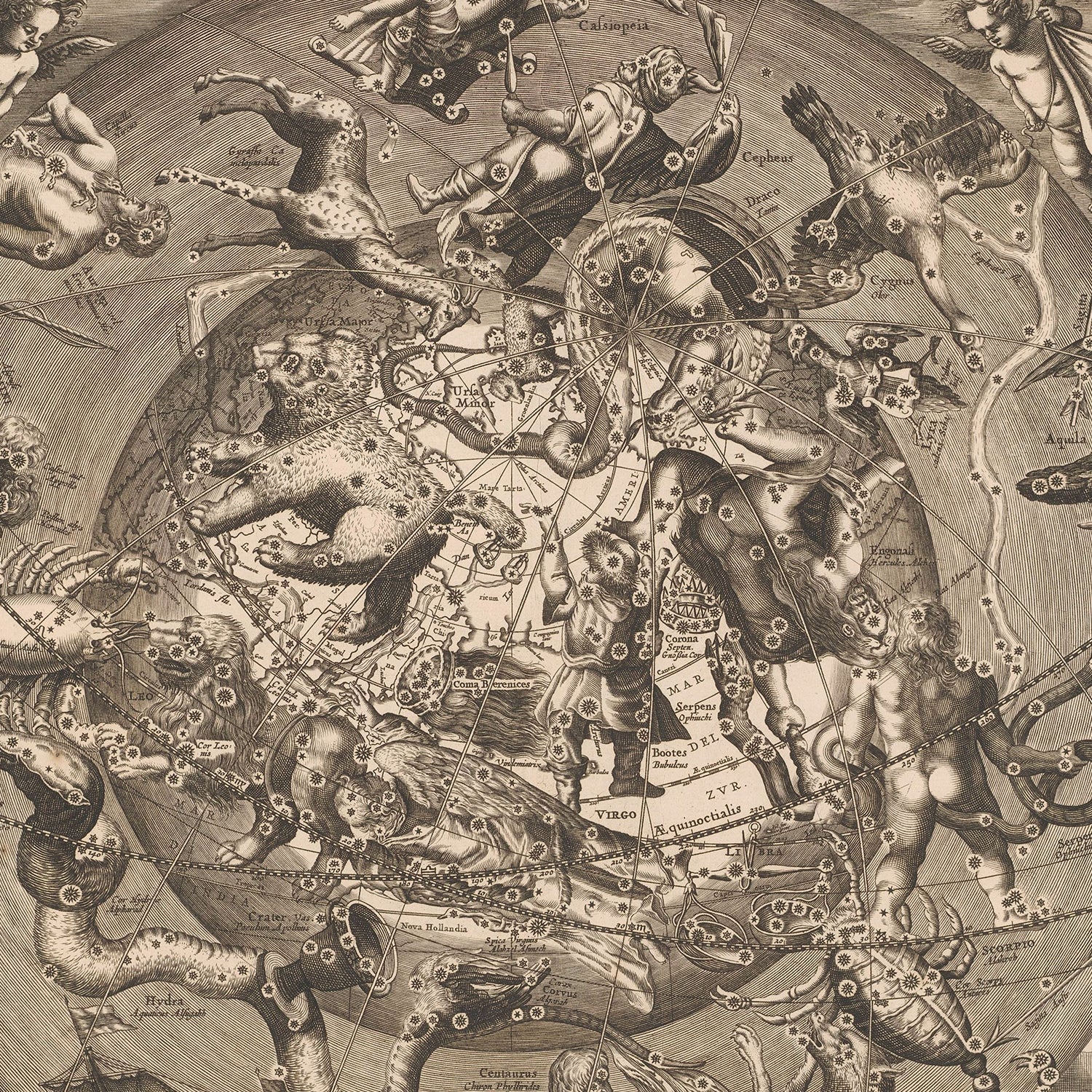 The *Spherical Scenograph of the Celestial and Terrestrial Northern Hemisphere* by Andreas Cellarius illustrates constellations in intricate detail. Mythical creatures and figures, including animals and human shapes, are depicted among the stars, overlaid on a spherical globe centered with lines marking various celestial coordinates. Perfect as Astrology Wall Art for any zodiac enthusiast.