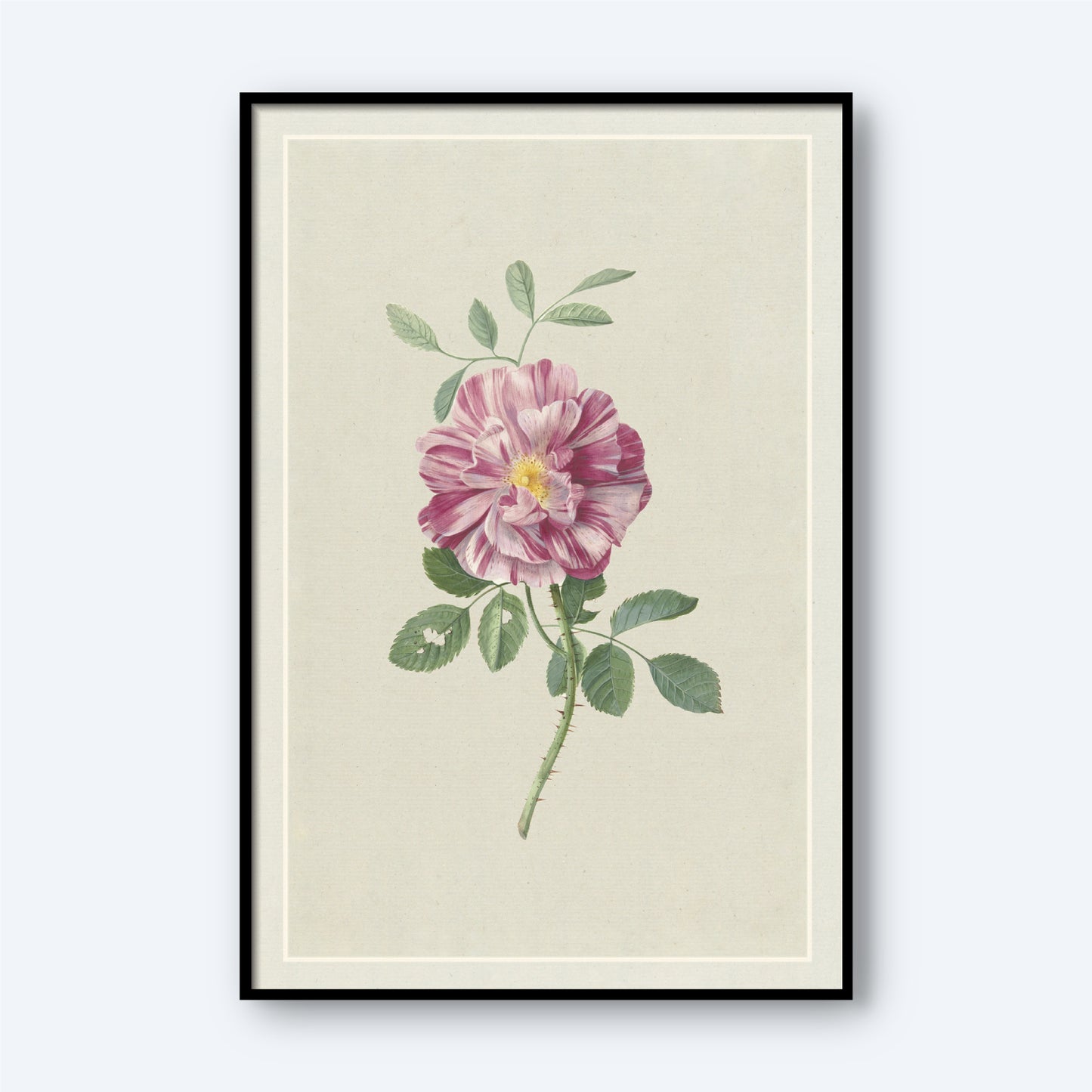 Rosa Gallica by Hendrik Schwegman features a framed botanical illustration of a single Rosa Gallica with green leaves against a light beige background. The rose has multiple petals adorned with light and dark pink streaks, all encased in a frame with a thin black border, making it perfect as elegant wall art.