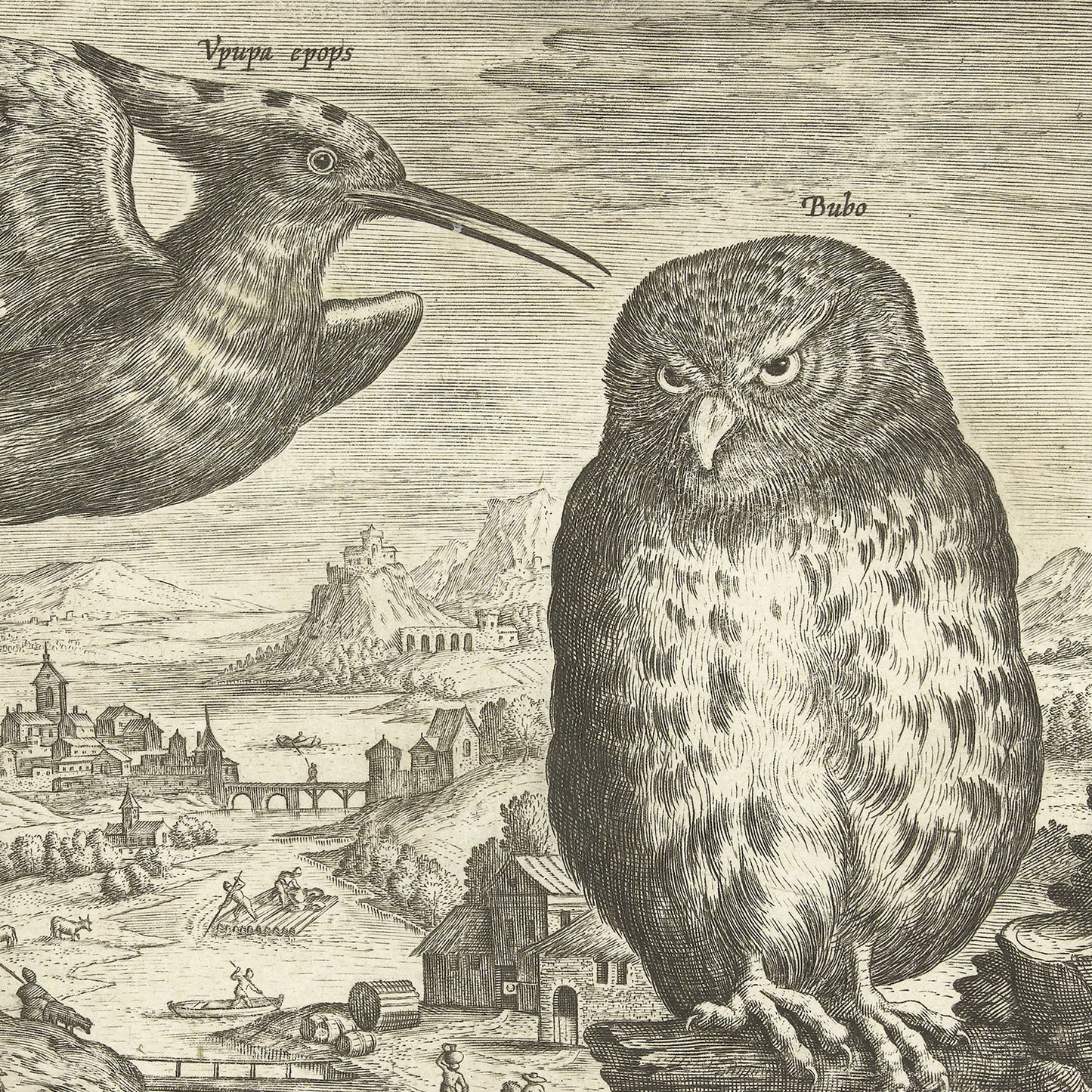 The product "Hoopoe and Owl by Adriaen Collaert" features an intricate black and white illustration that evokes the style of a naturalistic engraving by the artist. It depicts a Hoopoe ('Upupa epops') in flight with its distinctive crest and an Owl ('Bubo') perched on a branch, set against a detailed countryside village scene filled with buildings and people.