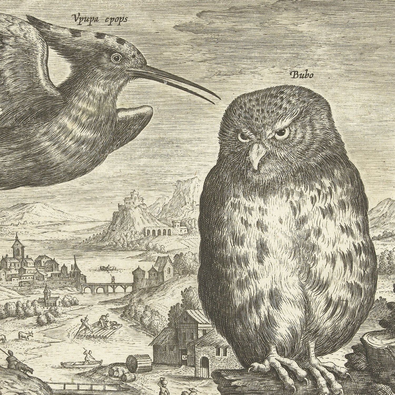 The product "Hoopoe and Owl by Adriaen Collaert" features an intricate black and white illustration that evokes the style of a naturalistic engraving by the artist. It depicts a Hoopoe ('Upupa epops') in flight with its distinctive crest and an Owl ('Bubo') perched on a branch, set against a detailed countryside village scene filled with buildings and people.