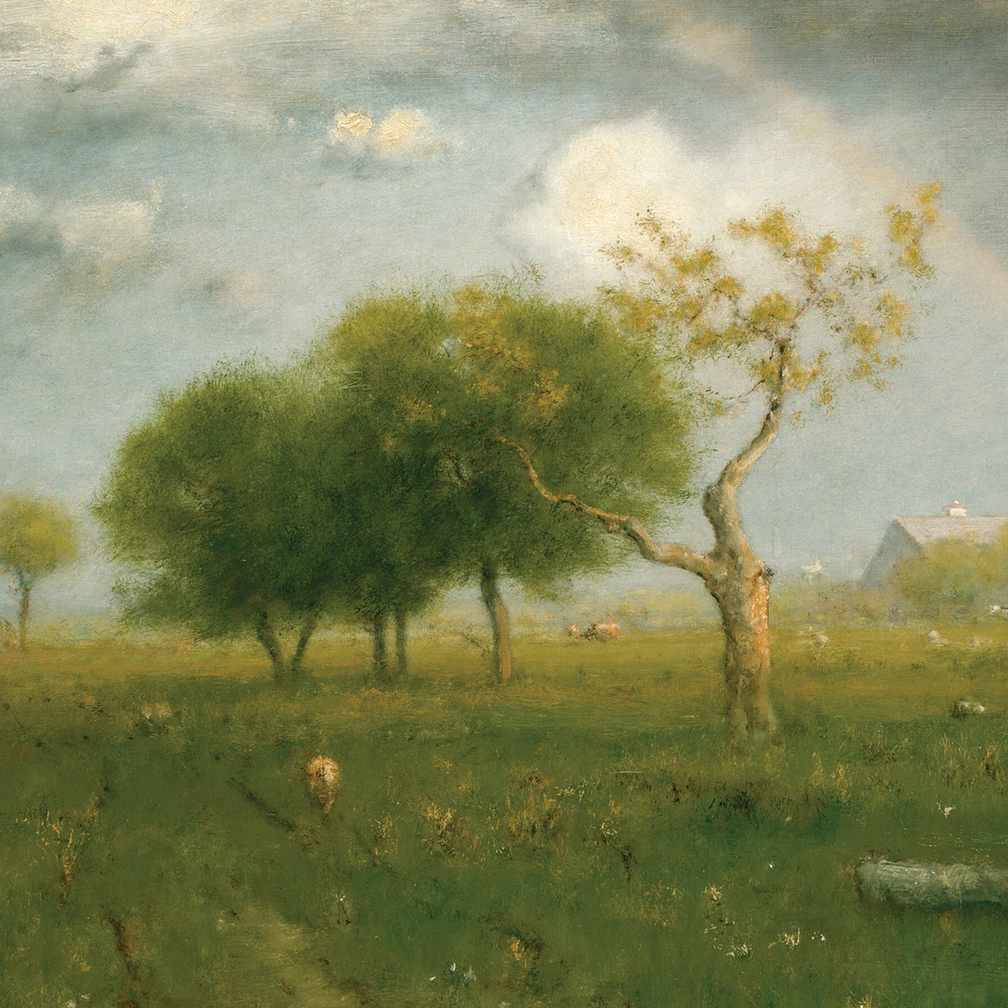 The print "After a Summer Shower" by George Inness, rendered on high-quality Lustre surface paper, showcases a serene landscape featuring a grassy meadow with trees and a cloudy sky. A lone sheep grazes near a winding path, while in the background there is a faint view of a barn-like structure partially obscured by trees, enhancing the atmosphere of peaceful stillness.