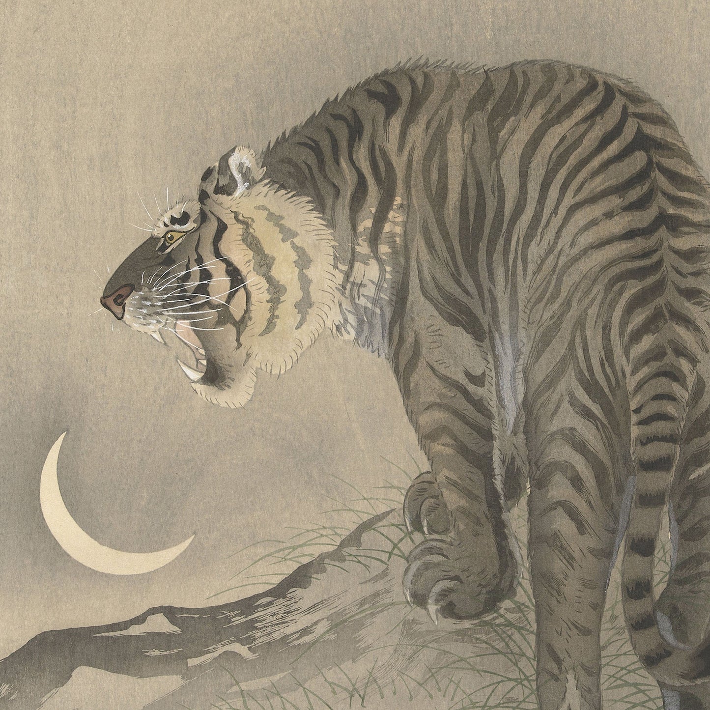 The Roaring Tiger by Koson Ohara features a beautifully detailed illustration of a tiger standing on a rocky surface, gazing towards a crescent moon in the sky. The tiger has intricate stripes and a focused expression, capturing Ohara's renowned Japanese woodblock printing style. This creates an image with a serene yet powerful ambiance set against a muted and minimalistic background.