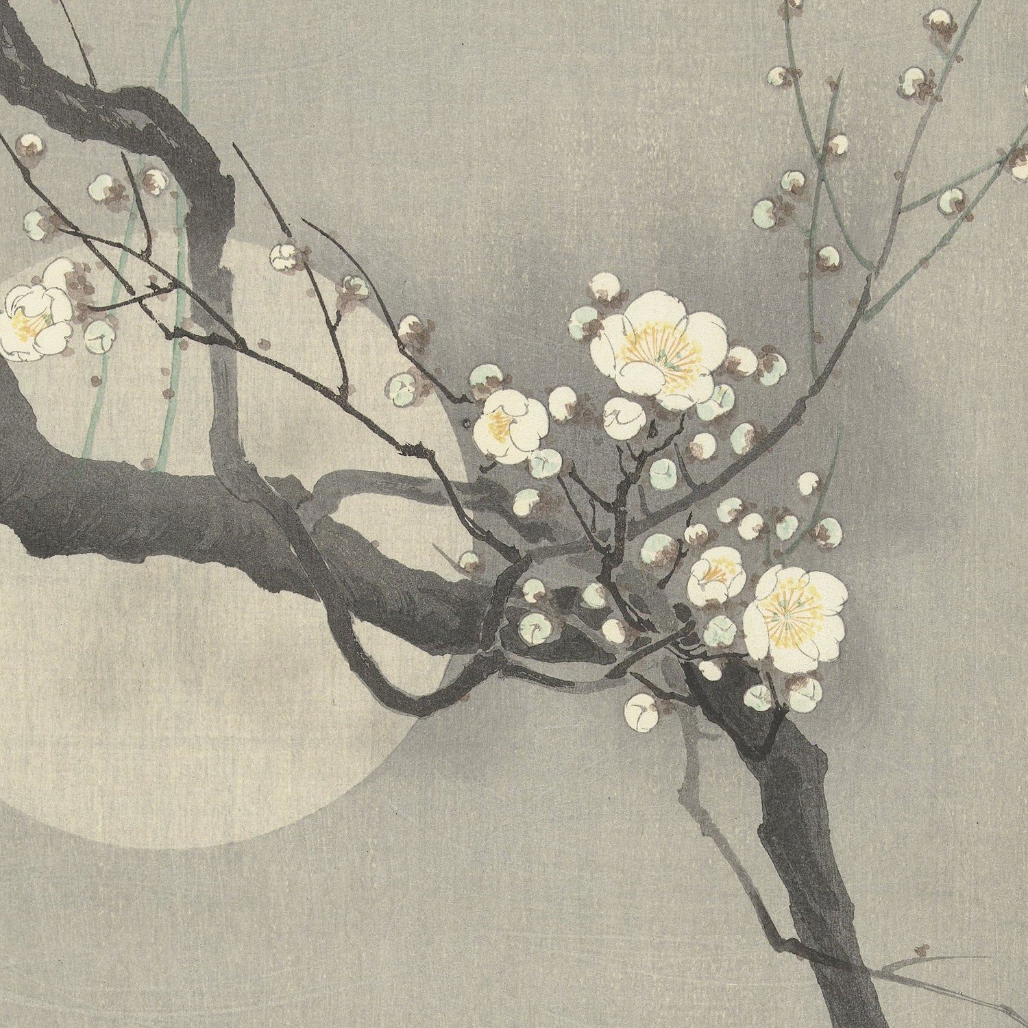 A delicate painting entitled "Plum Blossom and Full Moon" by Ohara Koson depicts a flowering tree branch with white blossoms and buds against a muted, grey background inspired by Japanese art. The branch extends from the left, and a pale, full moon is visible behind it, adding a serene atmosphere reminiscent of Koson's iconic style.