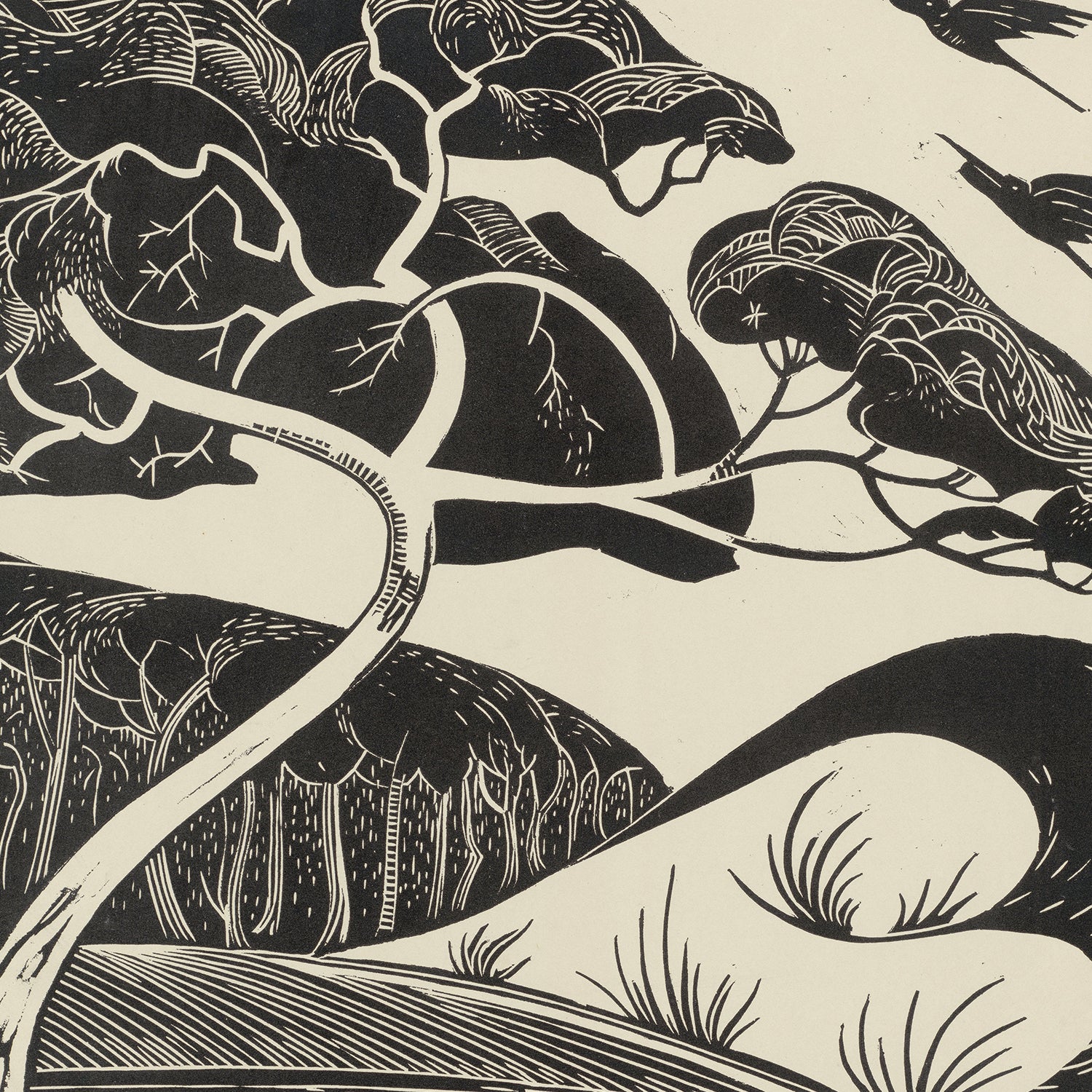 The "Dune Landscape by Bernard Essers Graphic Print" showcases a black-and-white illustration that captures a stylized, flowing coastal landscape with curving trees and hills. The bold, abstract lines and patterns reflect Bernard Essers' dynamic style, highlighting the organic forms of nature.
