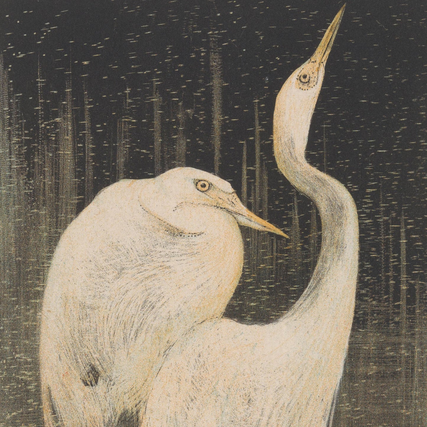 The detailed vintage print "Two Egrets by Theo van Hoytema" features two egrets with slender necks and long beaks standing closely together against a dark, textured background with vertical lines. The egret on the left has its neck curved slightly, while the egret on the right holds its neck upright.