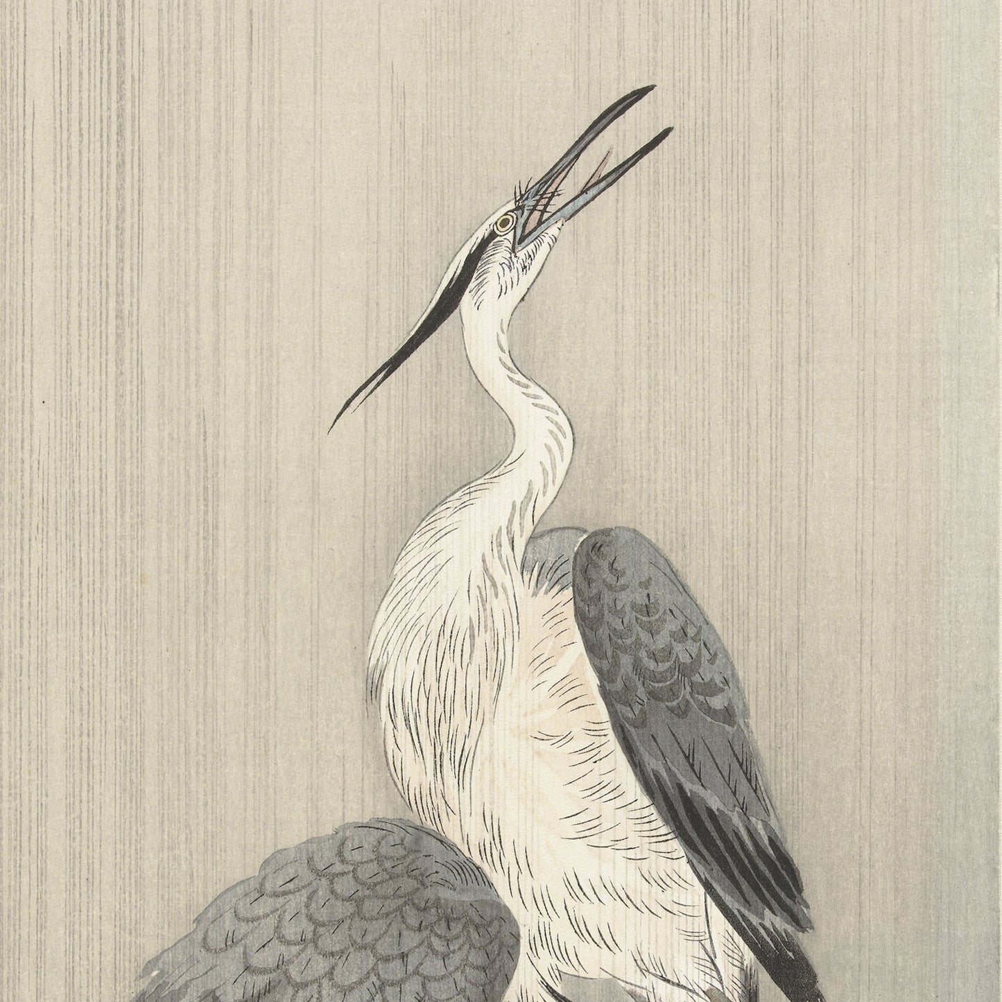 The "Two Herons in the Rain by Ohara Koson | Vintage Japanese Print" features a detailed illustration of herons with long necks and spread wings, reminiscent of an Ohara Koson print. The herons have white bodies, gray feathers, and open, pointed beaks. Set against a textured, vertical gradient of light gray shades, this wall art evokes a serene and minimalist feel.