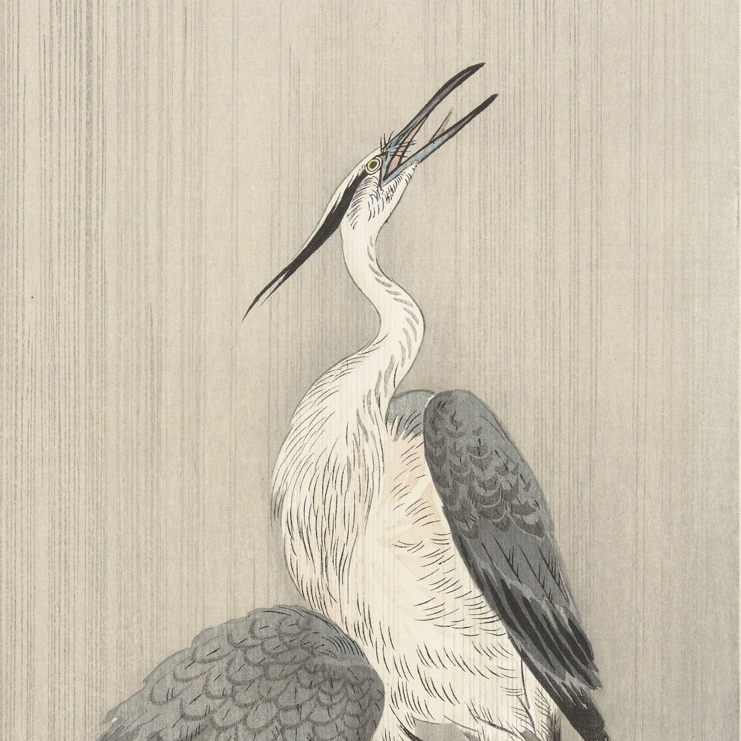 The "Two Herons in the Rain by Ohara Koson | Vintage Japanese Print" features a detailed illustration of herons with long necks and spread wings, reminiscent of an Ohara Koson print. The herons have white bodies, gray feathers, and open, pointed beaks. Set against a textured, vertical gradient of light gray shades, this wall art evokes a serene and minimalist feel.