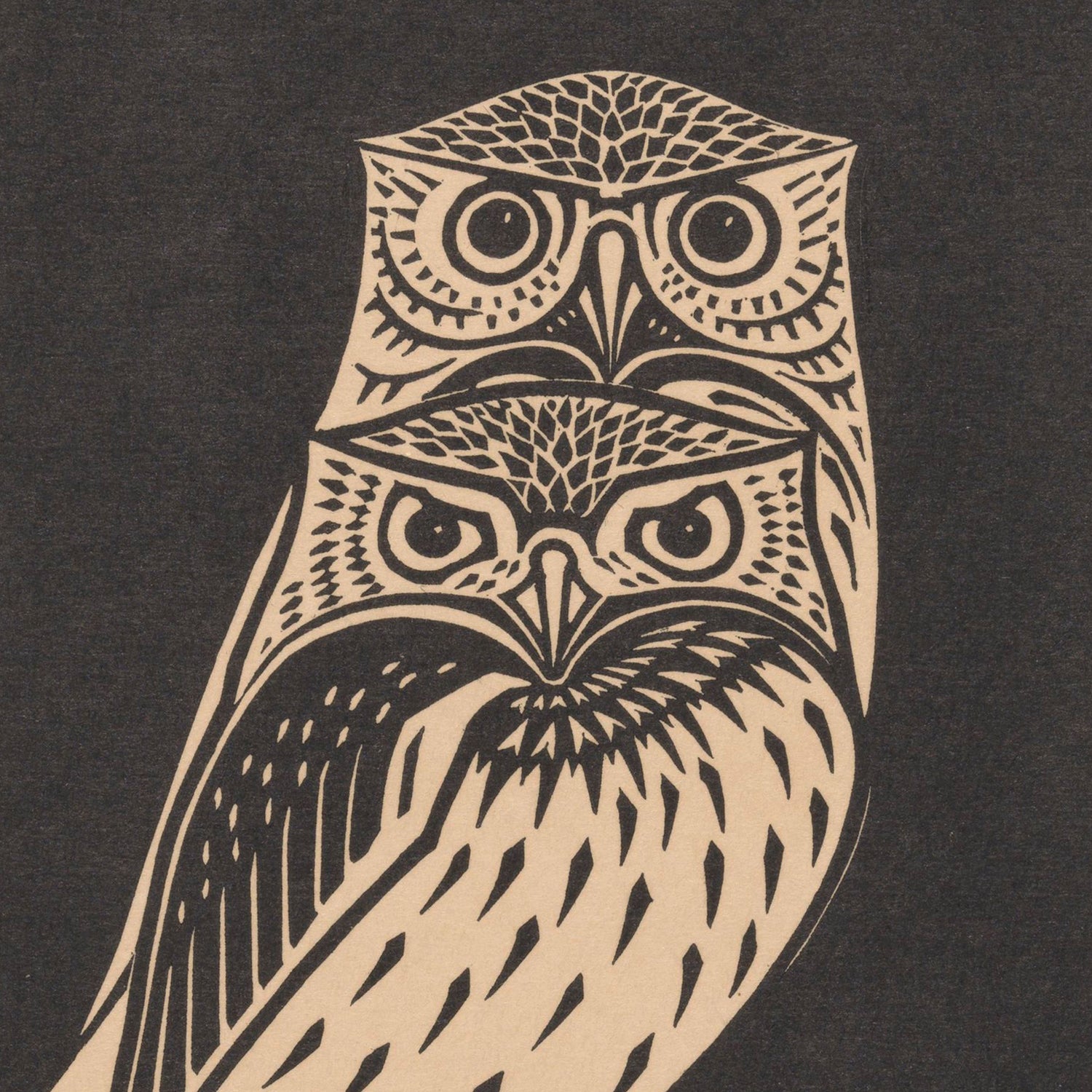 The "Two Owls by Julie De Graag Vintage Print" showcases a stylized illustration harking back to vintage aesthetics, with two owls stacked vertically against a dark backdrop. The upper owl's wide, round eyes and intricate feather details are beautifully rendered, mirrored by the bold eyes and detailed feather patterns of the lower owl, achieving a harmonious symmetrical composition.