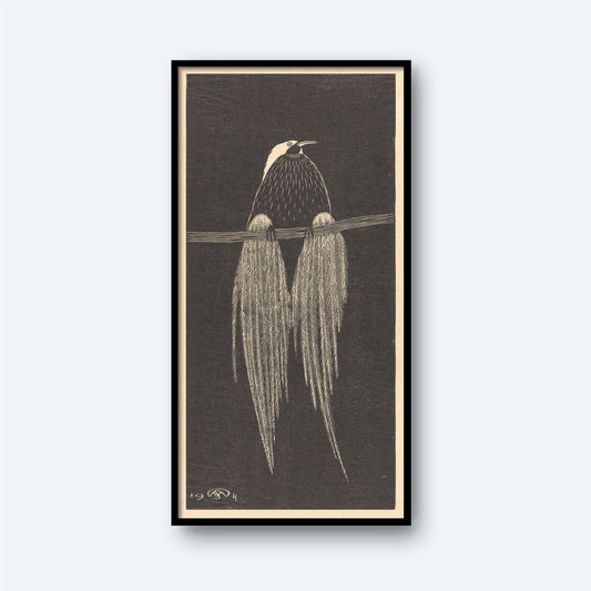 The artwork titled "Bird of Paradise by Samuel Jessurun de Mesquita" features a black and white illustration of a Bird of Paradise perched gracefully on a branch, showcasing its distinctive long tail feathers that hang elegantly. The plain background highlights the detailed and stylized depiction, while the narrow black border around the piece makes it ideal for wall art.