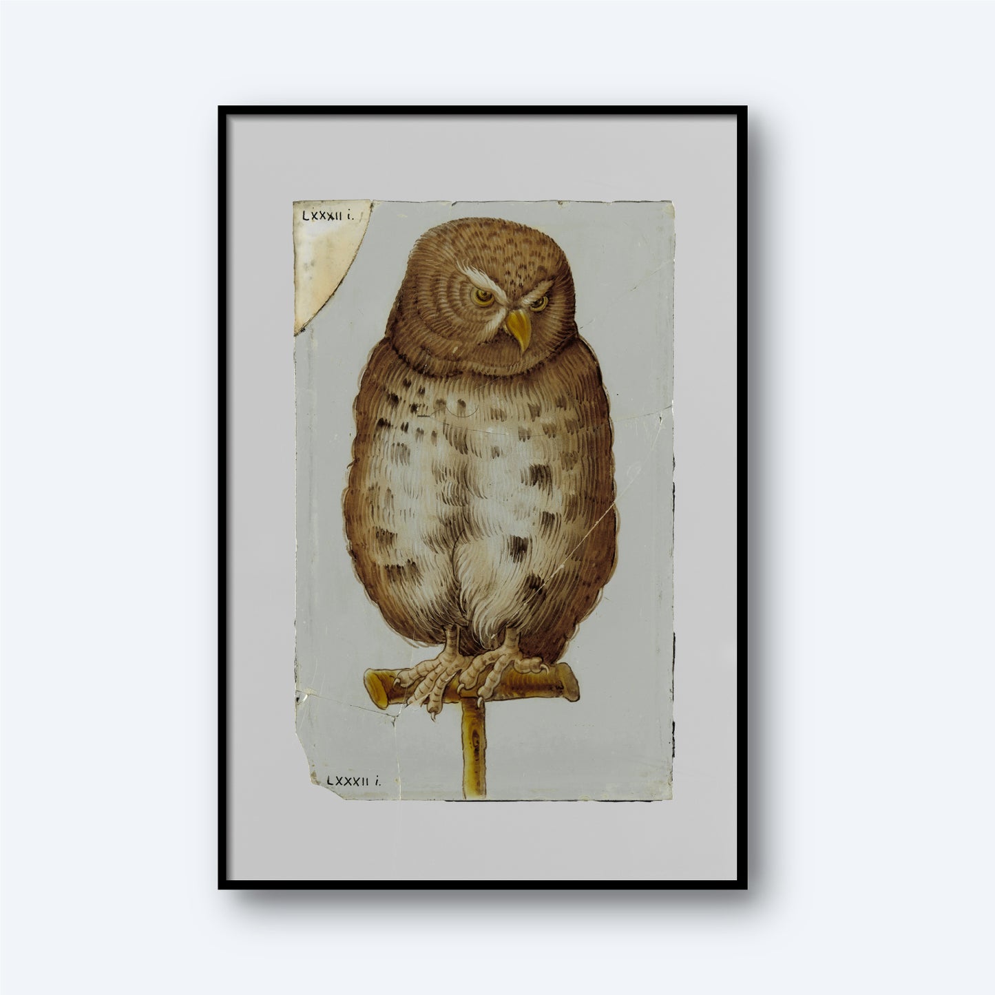 The "Diamond with an Owl" vintage print features a framed illustration of an owl gracefully perched on a branch. The artwork captures the textured, detailed appearance of the owl, complete with visible tear marks and creases that add character. Labeling adorns the top left and bottom right corners, all set against a light gray background. This timeless piece of symbolic wall art lends an air of elegance to any space.