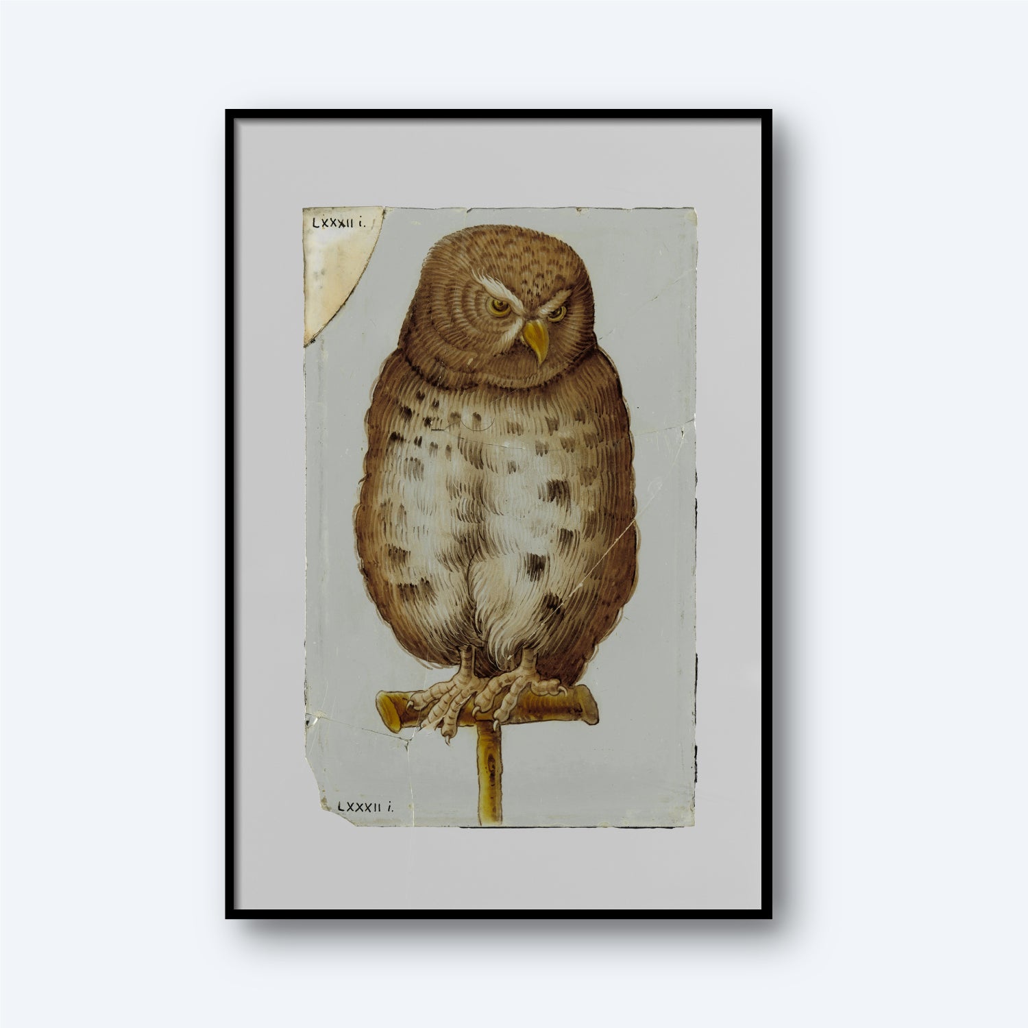 The "Diamond with an Owl" vintage print features a framed illustration of an owl gracefully perched on a branch. The artwork captures the textured, detailed appearance of the owl, complete with visible tear marks and creases that add character. Labeling adorns the top left and bottom right corners, all set against a light gray background. This timeless piece of symbolic wall art lends an air of elegance to any space.