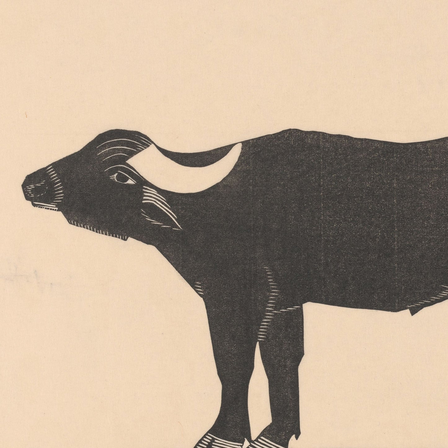 The "Buffalo by Samuel Jessurun de Mesquita Print" features a minimalist illustration of the front half of a black ox with a white horn on a light beige background. The image, reminiscent of Mesquita's wildlife art, focuses on the ox's head and torso, using simple, bold lines in a slightly abstract style.