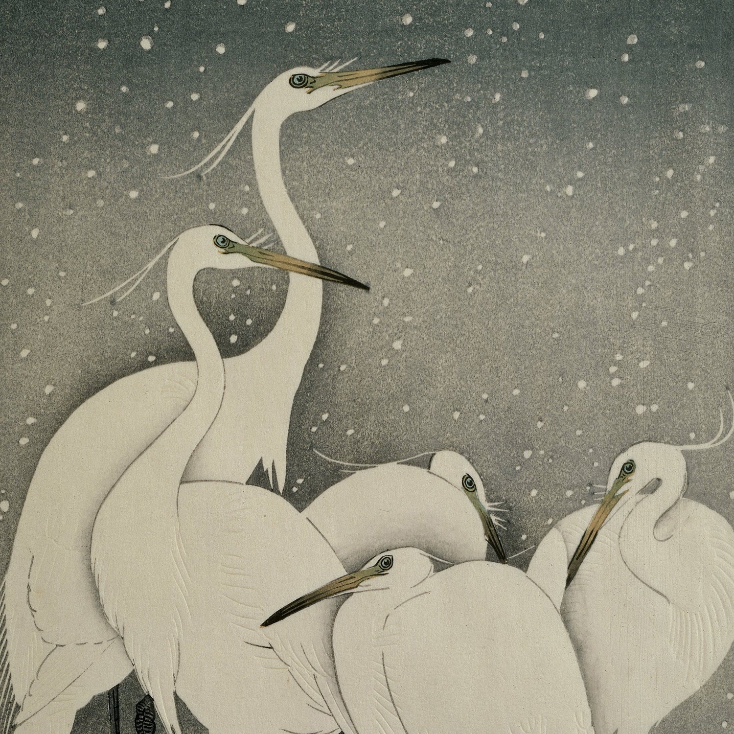 A group of five elegant white egrets stand closely together against a backdrop of softly falling snow, reminiscent of the "Group of Egrets by Ohara Koson" vintage Japanese print. The muted gray sky contrasts with the birds' delicate feathers, long necks, and pointed beaks, creating a serene and harmonious scene.