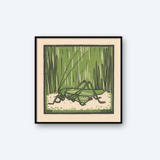 A framed square artwork depicts a green grasshopper resting on the ground with tall grasses in the background. The image, likely a Sprinkhaan by Julie Graag Print, has a slightly stylized, illustrative appearance with emphasis on simple lines and shapes. The bottom left corner is dated "1918.