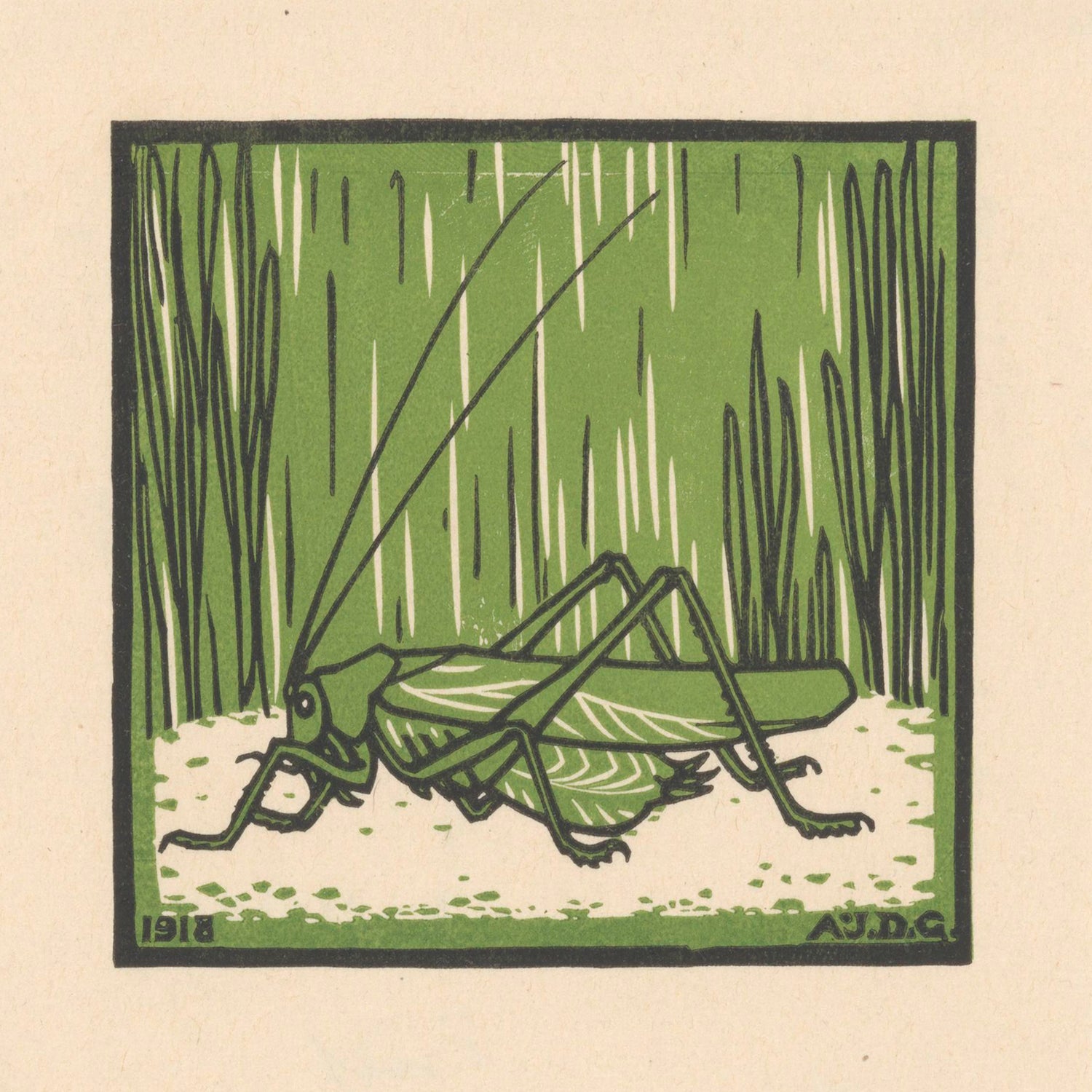 An illustration of a green grasshopper standing on a pale surface with tall, green grass in the background. This nature-inspired art, known as Sprinkhaan by Julie Graag Print, showcases the intricate details of the grasshopper and is dated 1918 with the initials A.J.D.G. in the lower right corner.