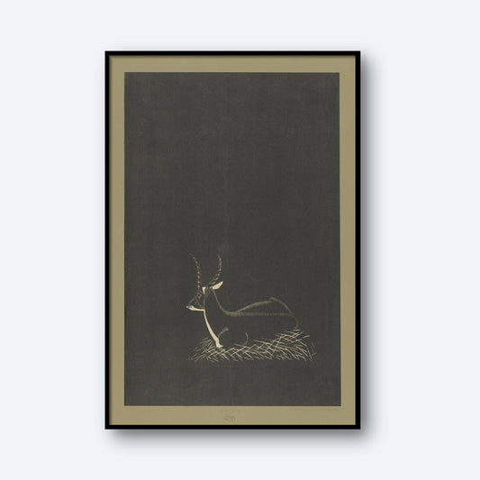 The "Deer by Samuel Jessurun de Mesquita Print" captures the essence of natural world art, depicting a reclining deer drawn with simple, clean lines on a dark background. The artwork highlights the animal lying calmly on some grass, with its horns and body outlined delicately in a style reminiscent of Samuel Jessurun de Mesquita.