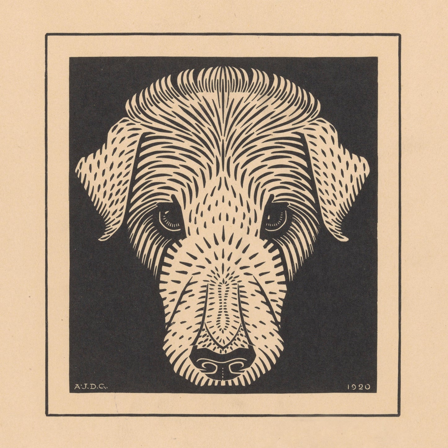 The "Dog's head by Julie de Graag Print" is a detailed black and white illustration of a dog's head, created using the woodcut technique by Julie de Graag. The dog's features are stylized with fine, intricate lines against a solid dark background. This piece of minimalist art is inscribed with the initials "A.J.D.G." and the year "1920" at the bottom.