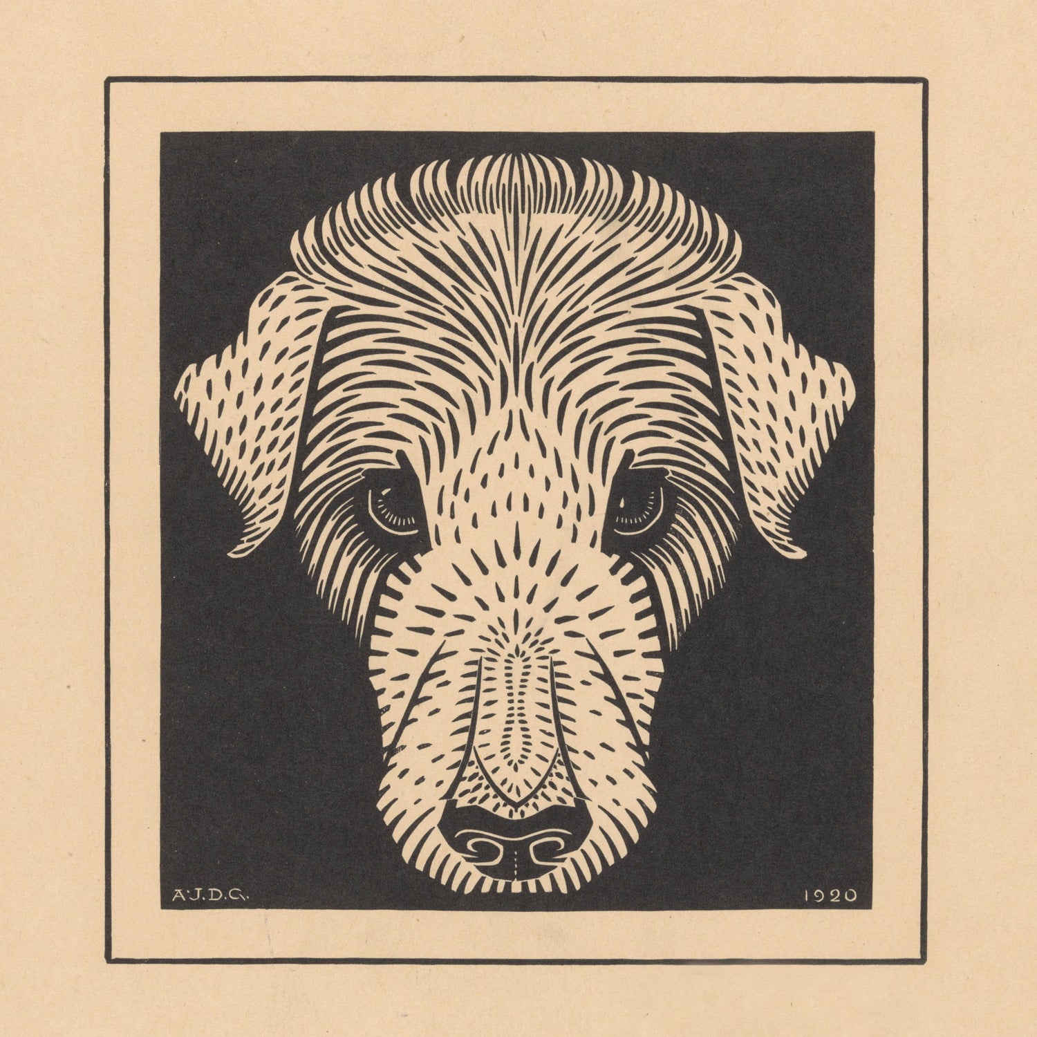 The "Dog's head by Julie de Graag Print" is a detailed black and white illustration of a dog's head, created using the woodcut technique by Julie de Graag. The dog's features are stylized with fine, intricate lines against a solid dark background. This piece of minimalist art is inscribed with the initials "A.J.D.G." and the year "1920" at the bottom.