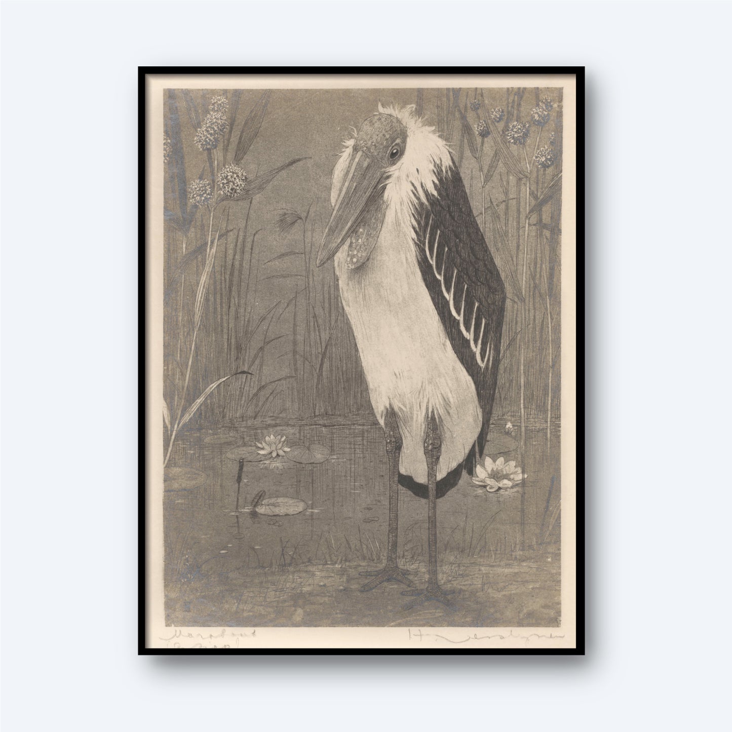 A framed, black and white sketch titled "Marabout" by Henri Verstijnen (1892 - 1931) features a tall bird standing in water with its head turned slightly downward. The water is adorned with lily pads and reeds, while another bird swims gracefully in the background. This vintage print captures the serene beauty characteristic of Verstijnen's works.