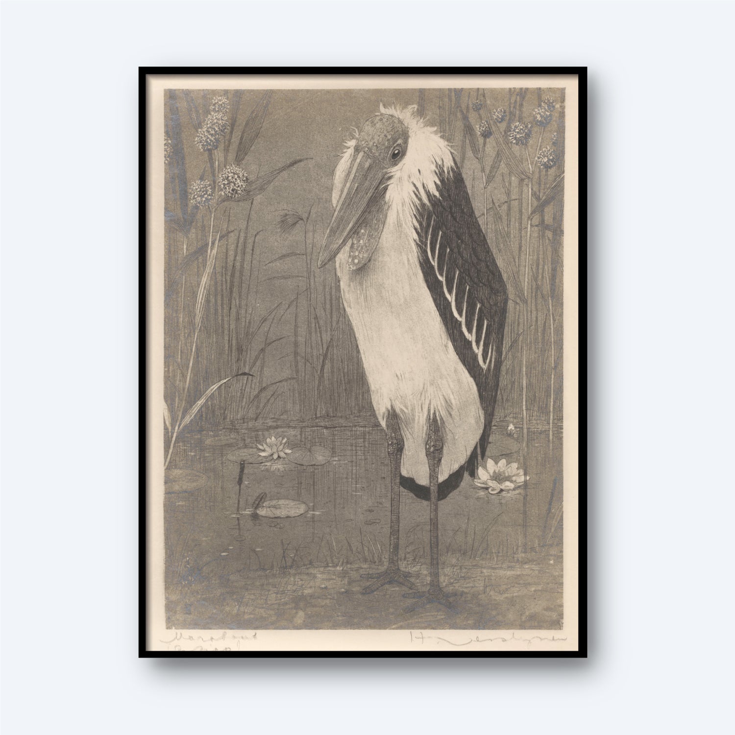 A framed, black and white sketch titled "Marabout" by Henri Verstijnen (1892 - 1931) features a tall bird standing in water with its head turned slightly downward. The water is adorned with lily pads and reeds, while another bird swims gracefully in the background. This vintage print captures the serene beauty characteristic of Verstijnen's works.