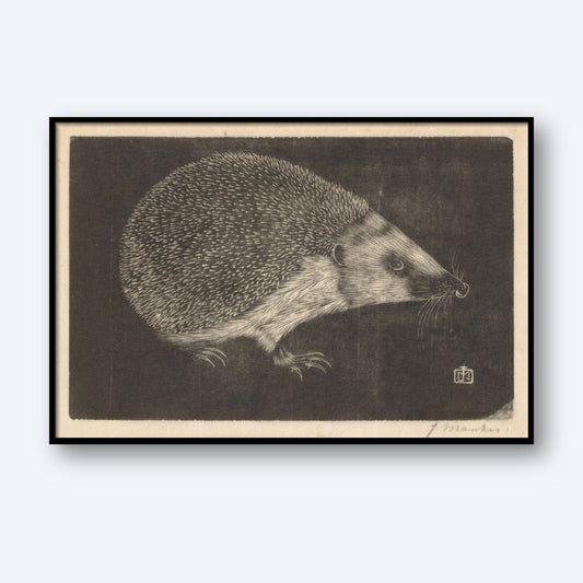 A monochrome illustration titled "Egel by Jan Mankes," detailed with intricate linework depicting a hedgehog. The egel is shown in profile view against a dark background, highlighting the texture of its spines and fur. This artwork, reminiscent of Dutch art by Jan Mankes, comes framed and signed by the artist in the lower right corner.