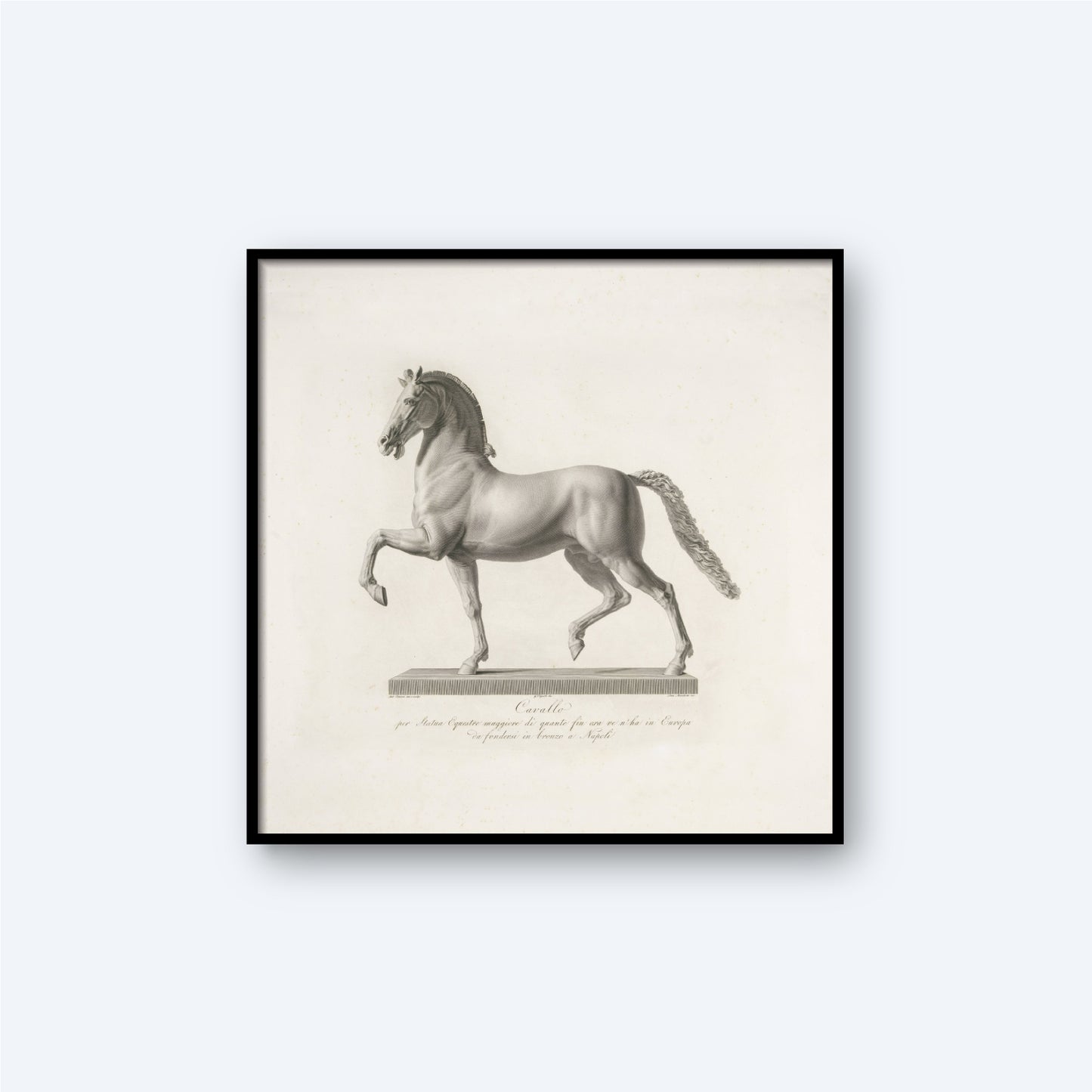 A framed, detailed black and white print titled "Sculpture of a Horse by the Italian Sculptor Antonio Canova" captures an elegant horse in a prancing pose. This classical art piece reflects Canova's meticulous style, depicting the horse with a lifted front leg and an arched neck to showcase its graceful form. Text beneath the illustration suggests it might be intended as a historical or anatomical study.