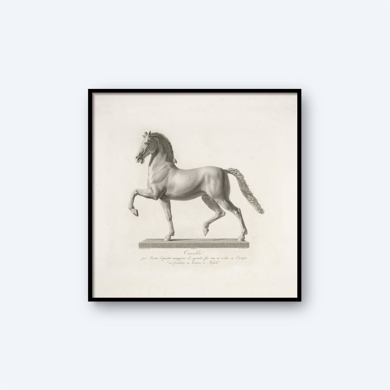 A framed, detailed black and white print titled "Sculpture of a Horse by the Italian Sculptor Antonio Canova" captures an elegant horse in a prancing pose. This classical art piece reflects Canova's meticulous style, depicting the horse with a lifted front leg and an arched neck to showcase its graceful form. Text beneath the illustration suggests it might be intended as a historical or anatomical study.