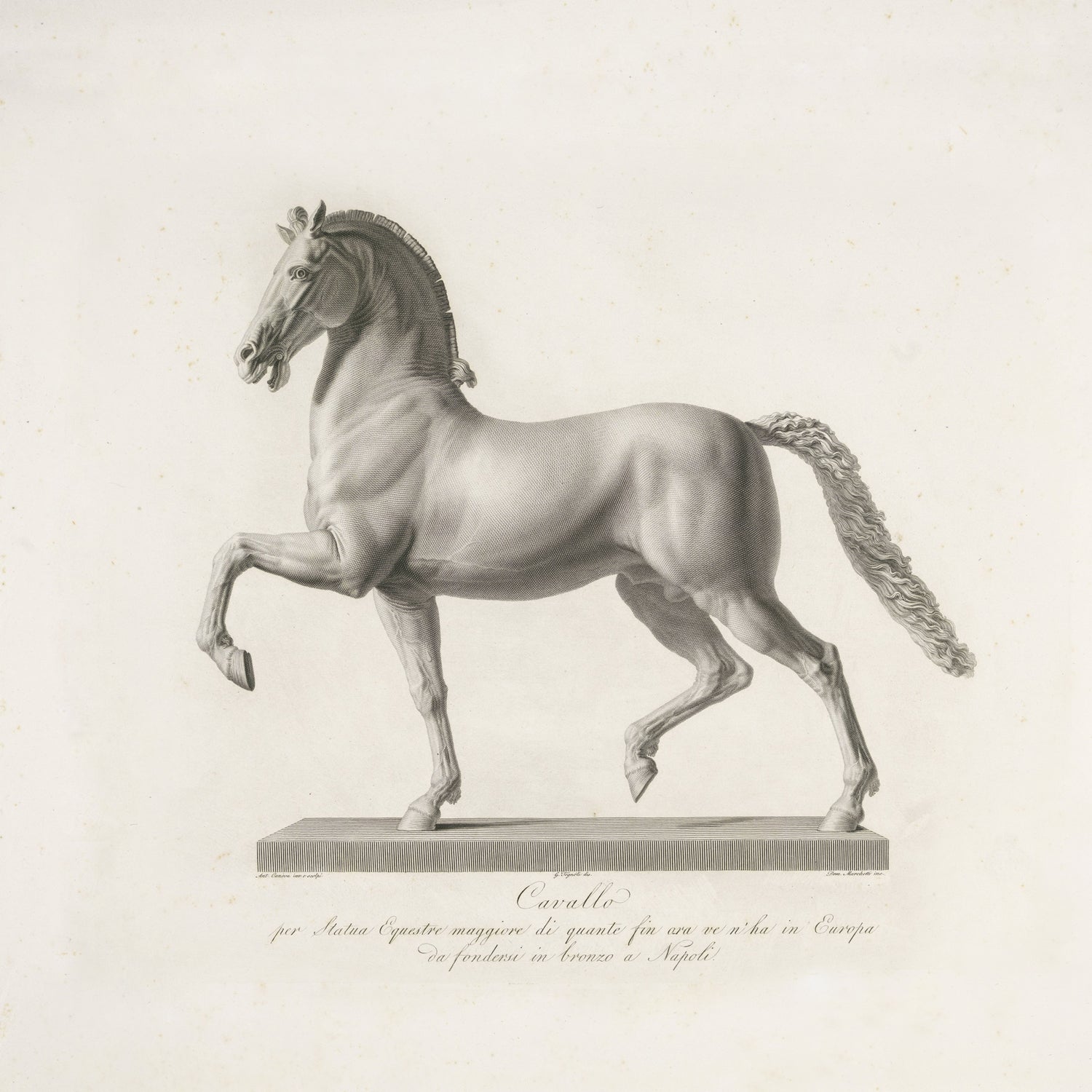 A detailed black-and-white illustration of a horse standing on a rectangular pedestal. The horse, reminiscent of classical art, is depicted in a prancing pose with one foreleg raised. Italian text below the image likely provides context or title for the artwork, evoking echoes of Style: Sculpture of a horse by the Italian sculptor *Antonio Canova Print* 