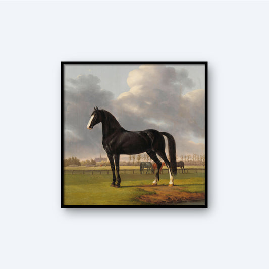The Fast One in a Meadow by Anthony Oberman Print features a black horse standing proudly in a lush green field under a cloudy sky. Behind the horse, two other horses graze near a fence. This nature art captures a serene rural landscape with detailed depiction of the horses and environment on lustre surface paper.