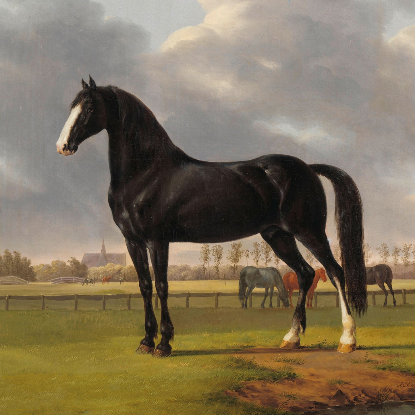 The Fast One in a Meadow by Anthony Oberman Print portrays a majestic black horse with a white blaze standing regally in a lush green field. Captured on Lustre surface paper, the scene includes nature art with several other horses grazing peacefully in the pastoral landscape, along with a distant view of a building under a partly cloudy sky.