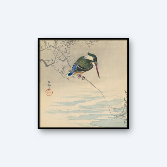 This vintage wall art print, "A Kingfisher by Ohara Koson 1920," captures a vibrant kingfisher perched gracefully on a slender branch above a serene body of water. The bird gazes downward, enveloped by delicate branches with sparse leaves, creating subtle reflections in the tranquil water below. It's perfect for anyone seeking elegant kingfisher wall art.
