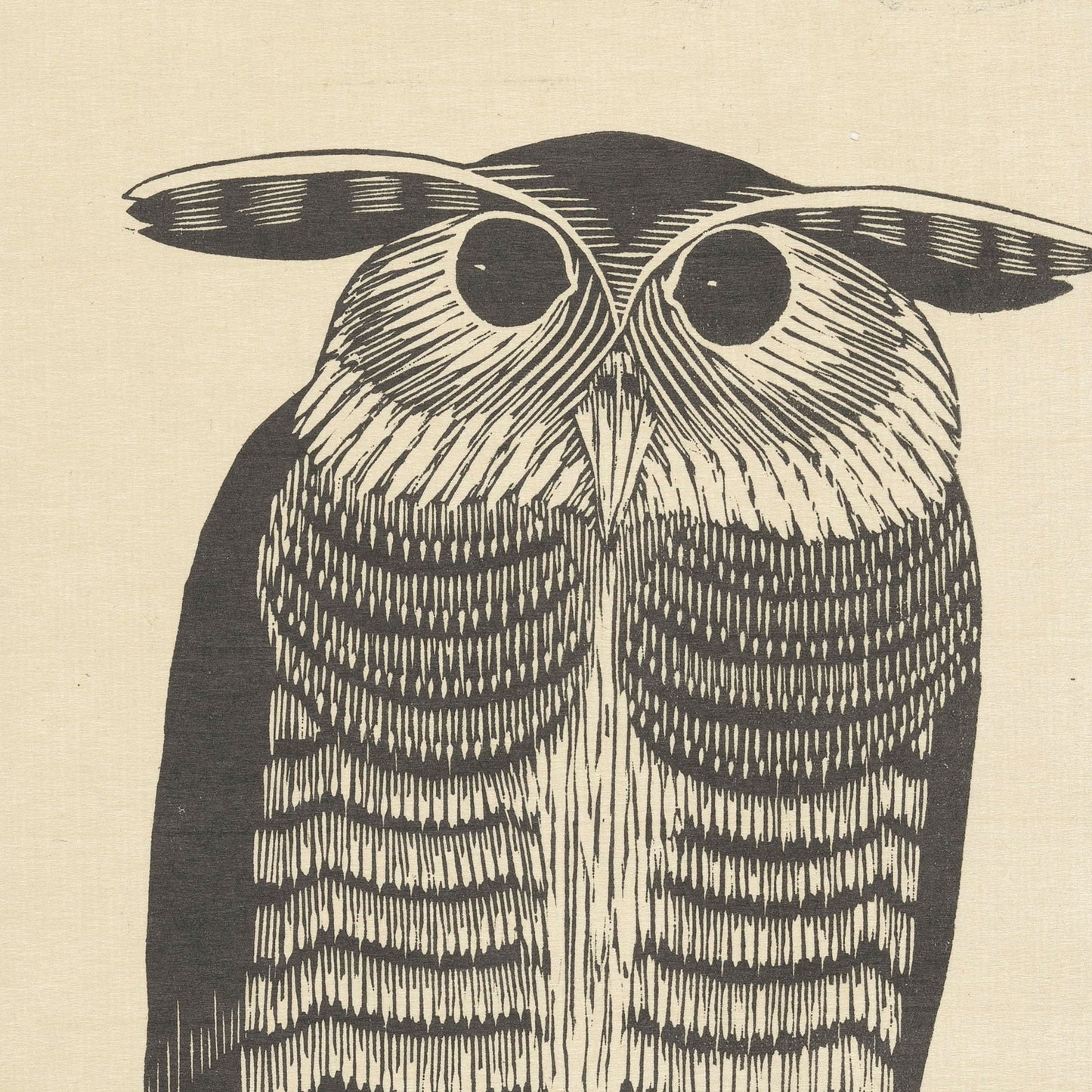 A vintage print titled "Horned Owl by Samuel Jessurun" illustrates a Horned Owl with large eyes and detailed striped feathers. The owl, in the distinctive style reminiscent of Samuel Jessurun de Mesquita, is shown with exaggerated features against a simplified background.