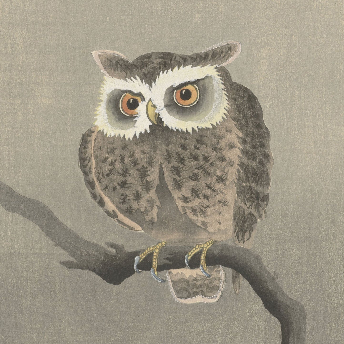 Product Description: The Long-eared Owl on a bare tree branch by Ohara Koson Vintage Japanese Print features a detailed illustration of a Long-eared Owl perched on a branch. The owl is depicted with striking orange eyes, a pristine white facial disc, and brown plumage adorned with intricate feather patterns. Reminiscent of an authentic Ohara Koson print, the background showcases a muted, textured grey that enhances the traditional feel of this exquisite artwork.
