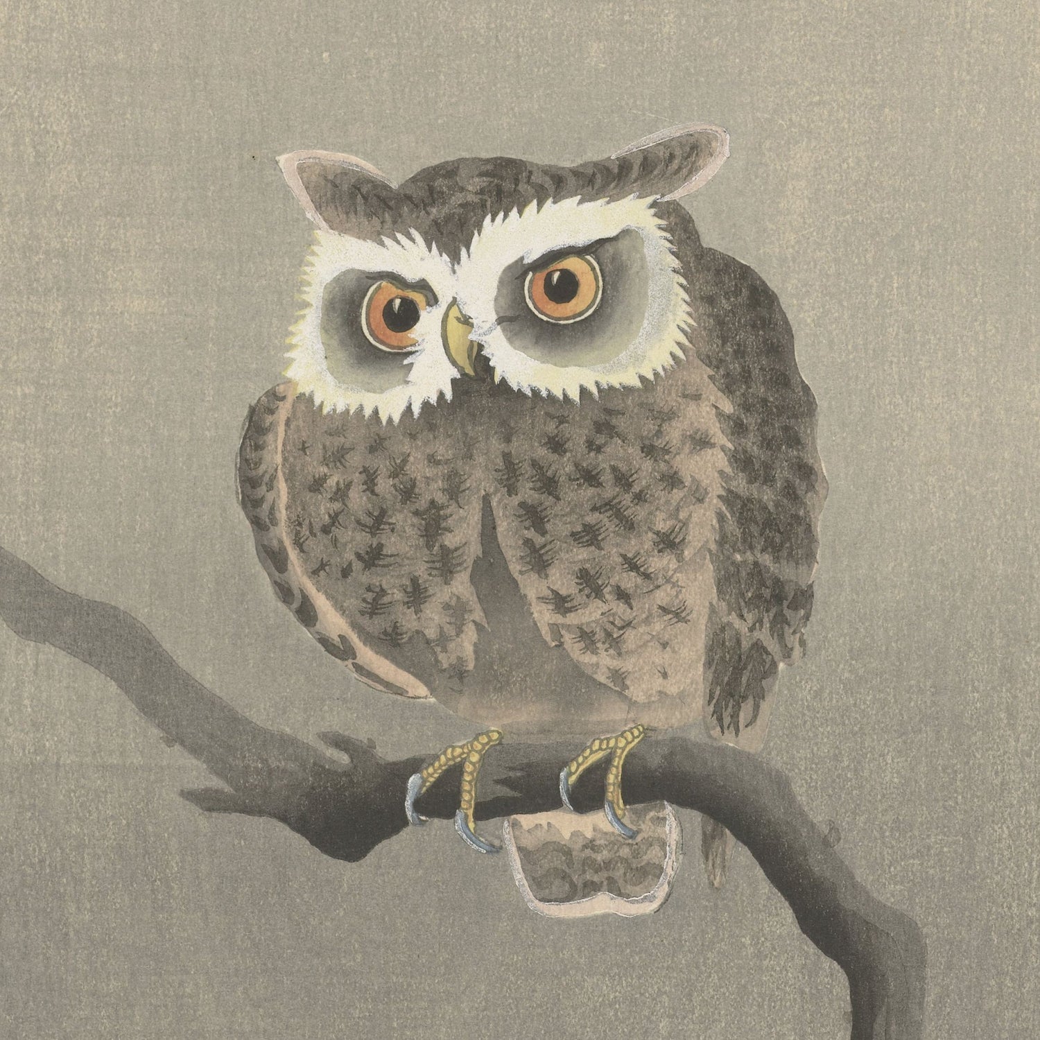 Product Description: The Long-eared Owl on a bare tree branch by Ohara Koson Vintage Japanese Print features a detailed illustration of a Long-eared Owl perched on a branch. The owl is depicted with striking orange eyes, a pristine white facial disc, and brown plumage adorned with intricate feather patterns. Reminiscent of an authentic Ohara Koson print, the background showcases a muted, textured grey that enhances the traditional feel of this exquisite artwork.