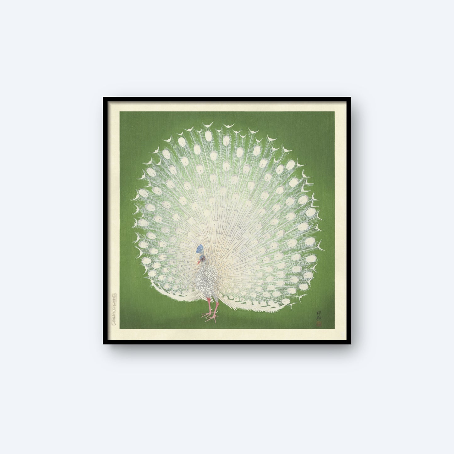 Peacock by Ohara Koson | Vintage Japanese Woodblock Print" features a framed artwork of a white peacock with its fanned tail displayed against a green background. The intricate details of the feathers are prominently highlighted, showcasing a delicate and detailed design reminiscent of vintage Japanese art. The simple black frame complements the piece beautifully.