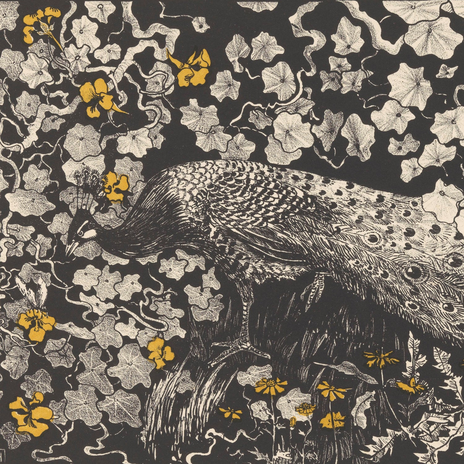 Pauw by Theo van Hoytema, a vintage print, showcases illustrated art of a peacock adorned with intricate feather details amidst dense foliage of leaves and vines. Bright yellow flowers are interspersed throughout the predominantly black and white composition, introducing a vivid pop of color. This peacock print captures the timeless charm reminiscent of Theo van Hoytema’s classic style.