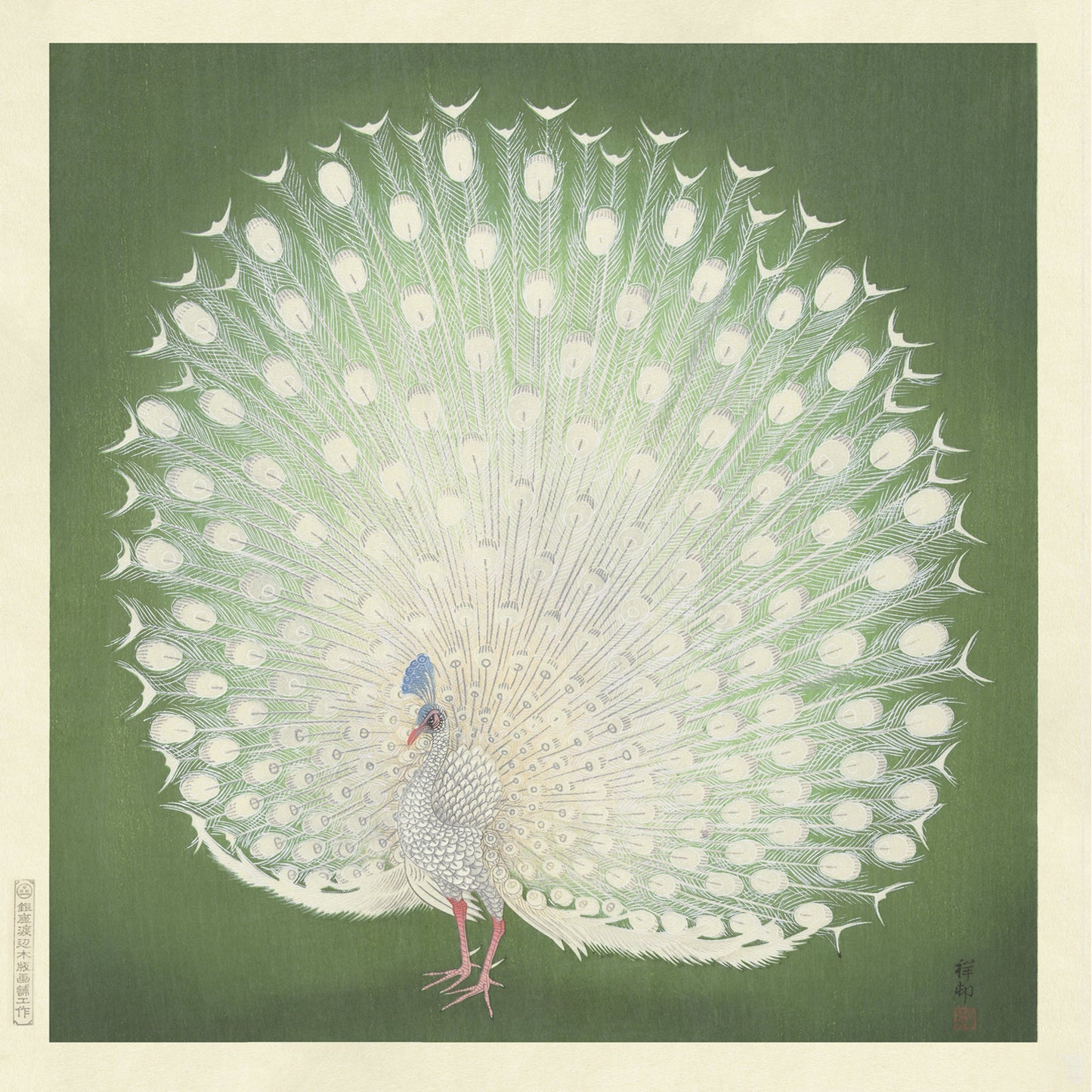 Peacock by Ohara Koson | Vintage Japanese Woodblock Print features a detailed illustration of a white peacock against a green background. The peacock's feathers are fanned out in full display, showcasing intricate patterns. Reminiscent of an Ohara Koson woodblock print, this vintage Japanese art is characterized by delicate lines, soft coloring, and Asian script in two corners.