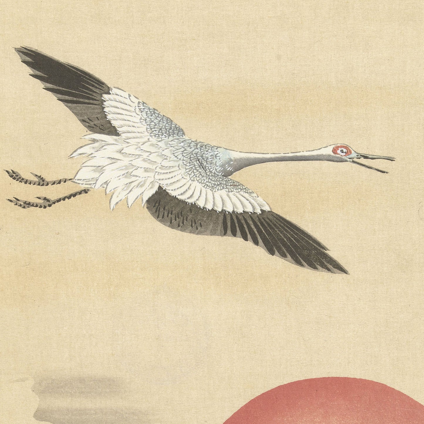Title: Crane Flying At Red Moon by Kano Tsunenobu | Vintage Japanese Print

Description: This vintage Japanese print by Kano Tsunenobu, titled *Crane Flying At Red Moon*, captures a crane in mid-flight with its wings spread wide, showcasing meticulously detailed feathers. The bird’s long neck, red eye marks, and open beak create a striking contrast against the beige background with a partial view of the red sun.