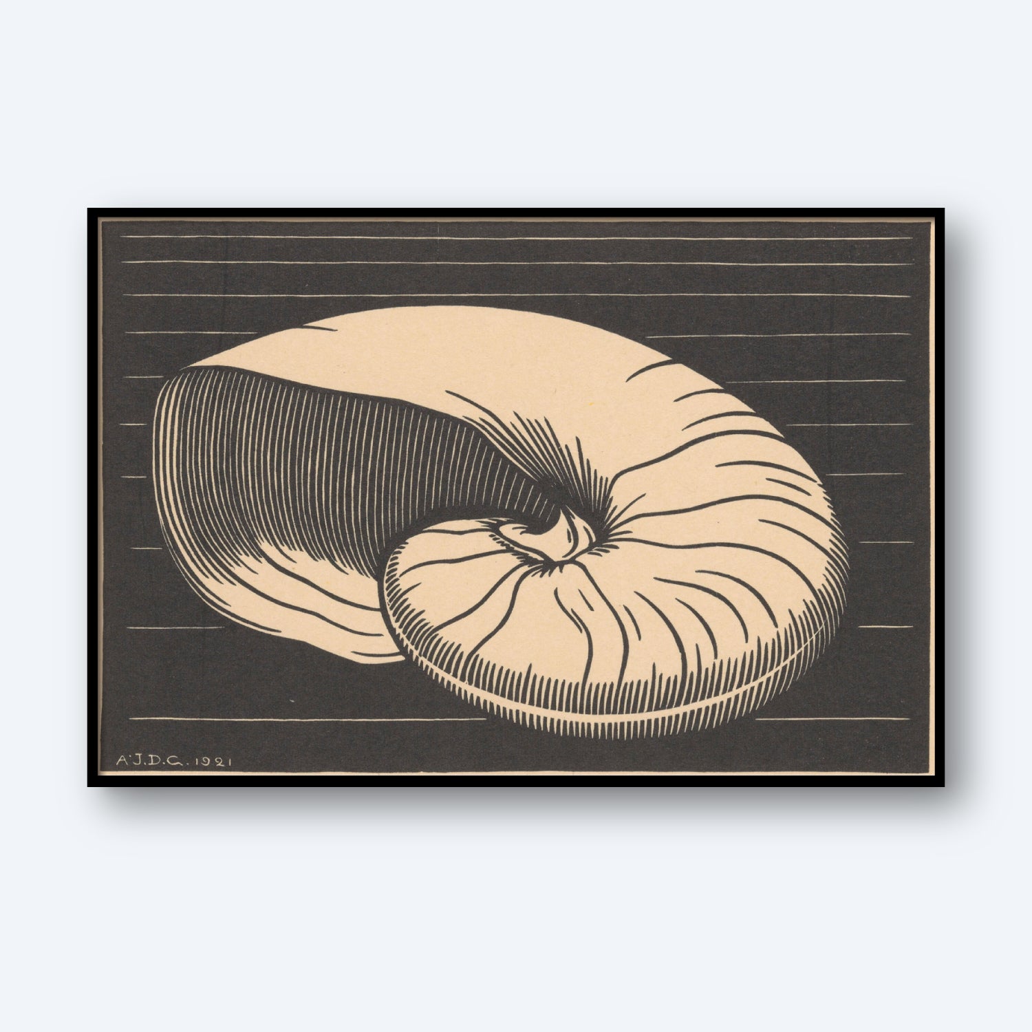 The Shell Illustration Julie De Graag Print portrays a monochromatic depiction of a nautilus shell that evokes the essence of Dutch art, set against a dark background with horizontal lines. The artwork highlights the shell's intricate spirals and shading details, signed "A.J.D.C. 1931" in the lower left corner.