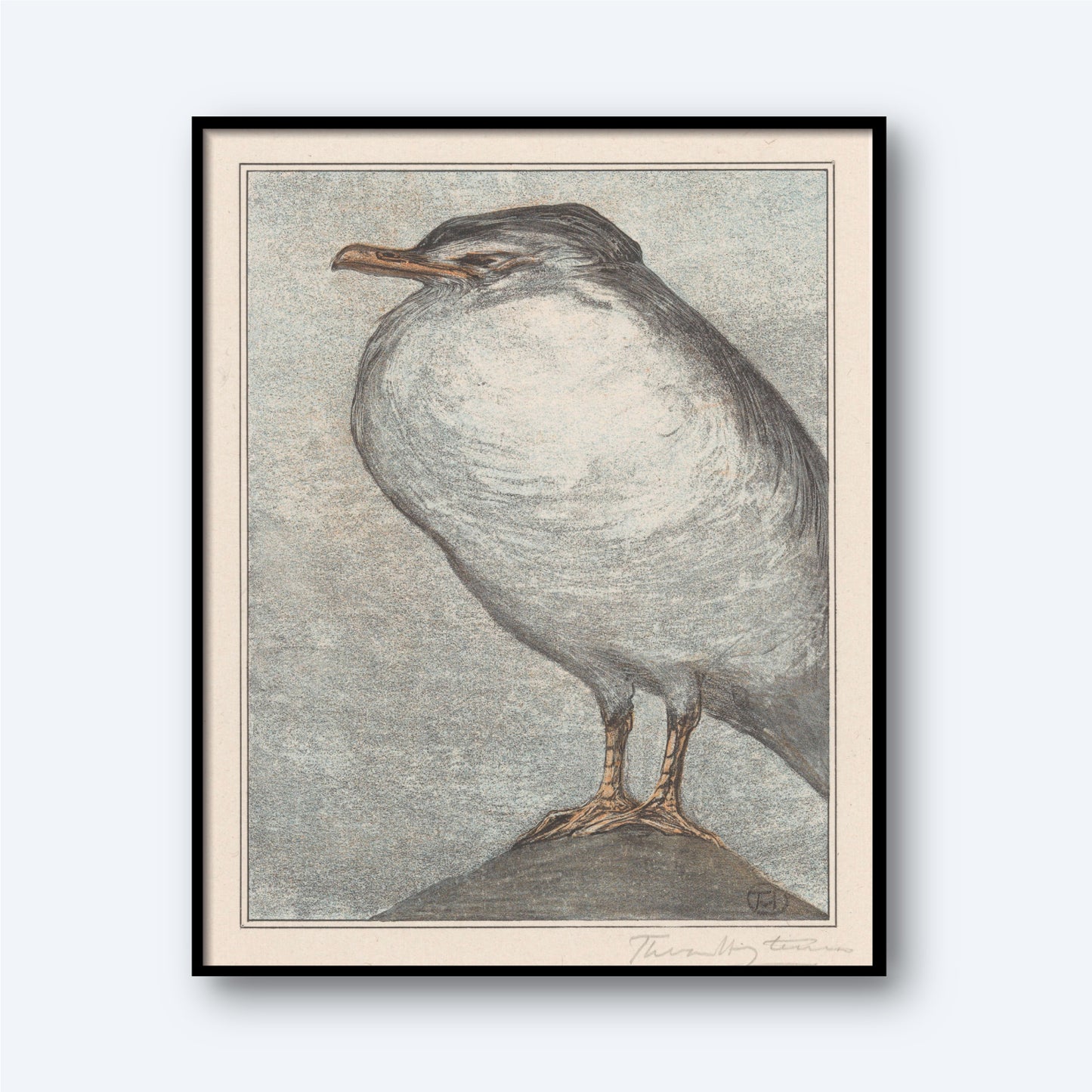 A framed Zilvermeeuw by Theo van Hoytema - Vintage Print showcases a bird standing on a rock, with a plump body, small head and short beak, and sturdy legs. The background features a subdued grey tone that highlights the soft, textured details of the bird's feathers, reminiscent of vintage wall art.