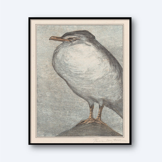A framed Zilvermeeuw by Theo van Hoytema - Vintage Print showcases a bird standing on a rock, with a plump body, small head and short beak, and sturdy legs. The background features a subdued grey tone that highlights the soft, textured details of the bird's feathers, reminiscent of vintage wall art.