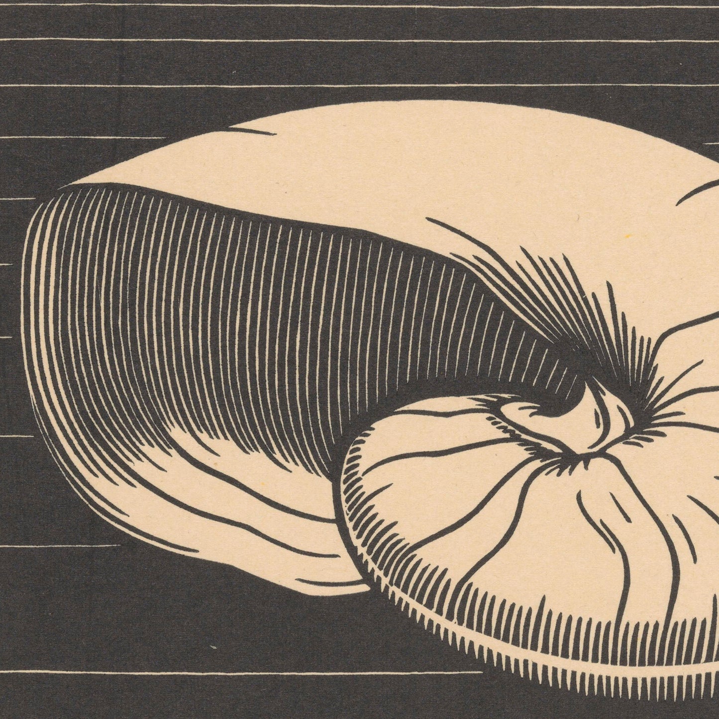 The Shell Illustration Julie De Graag Print showcases a monochromatic seashell drawing that is reminiscent of Dutch art and the meticulous style of Julie de Graag. The piece features intricate linework with curved lines and shading, set against a background of horizontal lines that add depth and structure.